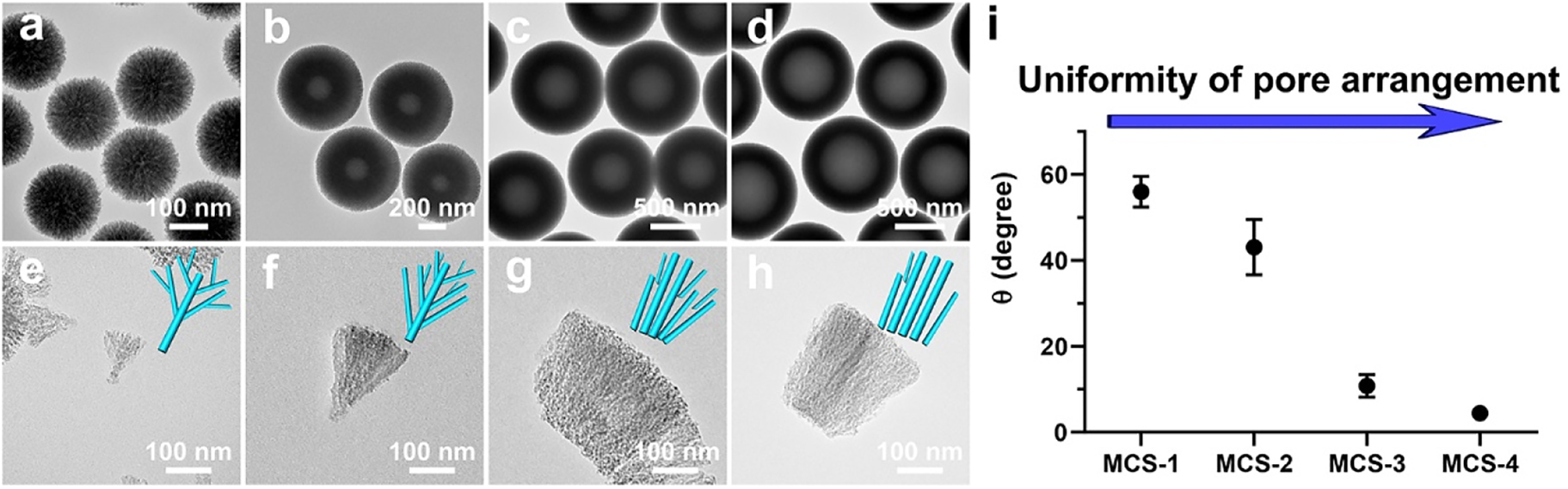 Figure 2:
TEM images of the silica templates (a, b, c, d) and their corresponding deprived fragments (e, f, g, h) of MCS-1 (a, e), MCS-2 (b, f), MCS-3 (c, g) and MCS-4 (d, h); measured angles between adjacent spikes in silica templates from corresponding MCSs (i).