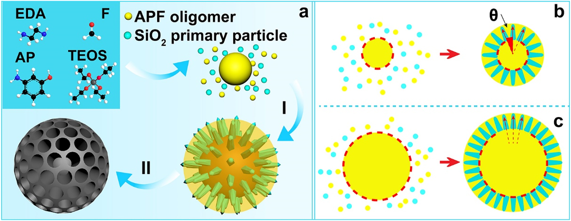 Scheme 1:
The reaction kinetic controlled surfactant-free synthesis approach of MCSs (a), co-condensation process (I), carbonization in N2 atmosphere and etching of silica template (II); growth behavior of the silica spikes on APF cores, central radial behavior (b) and para-parallel behavior (c).
