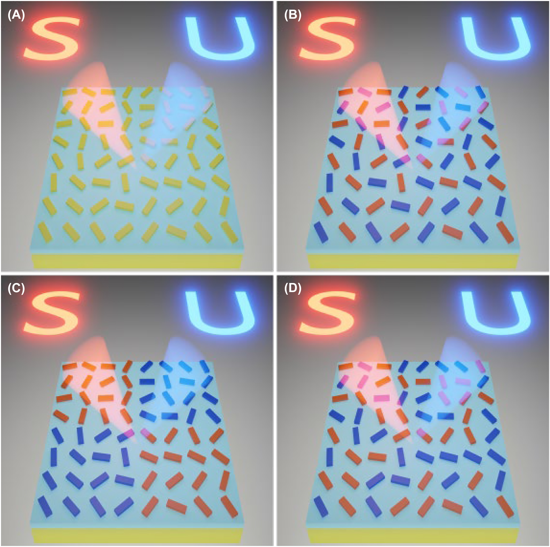 Figure 1: 
Schematic illustration of different design strategies for spin-multiplexed holograms by utilizing single-celled (A) non-interleaved, (B) interleaved, (C) segmented, and (D) randomly interleaved metasurfaces. The LCP and RCP incident beams get reflected from the geometric metasurface to form the holographic images “S” (red) and “U” (blue) in the far field.