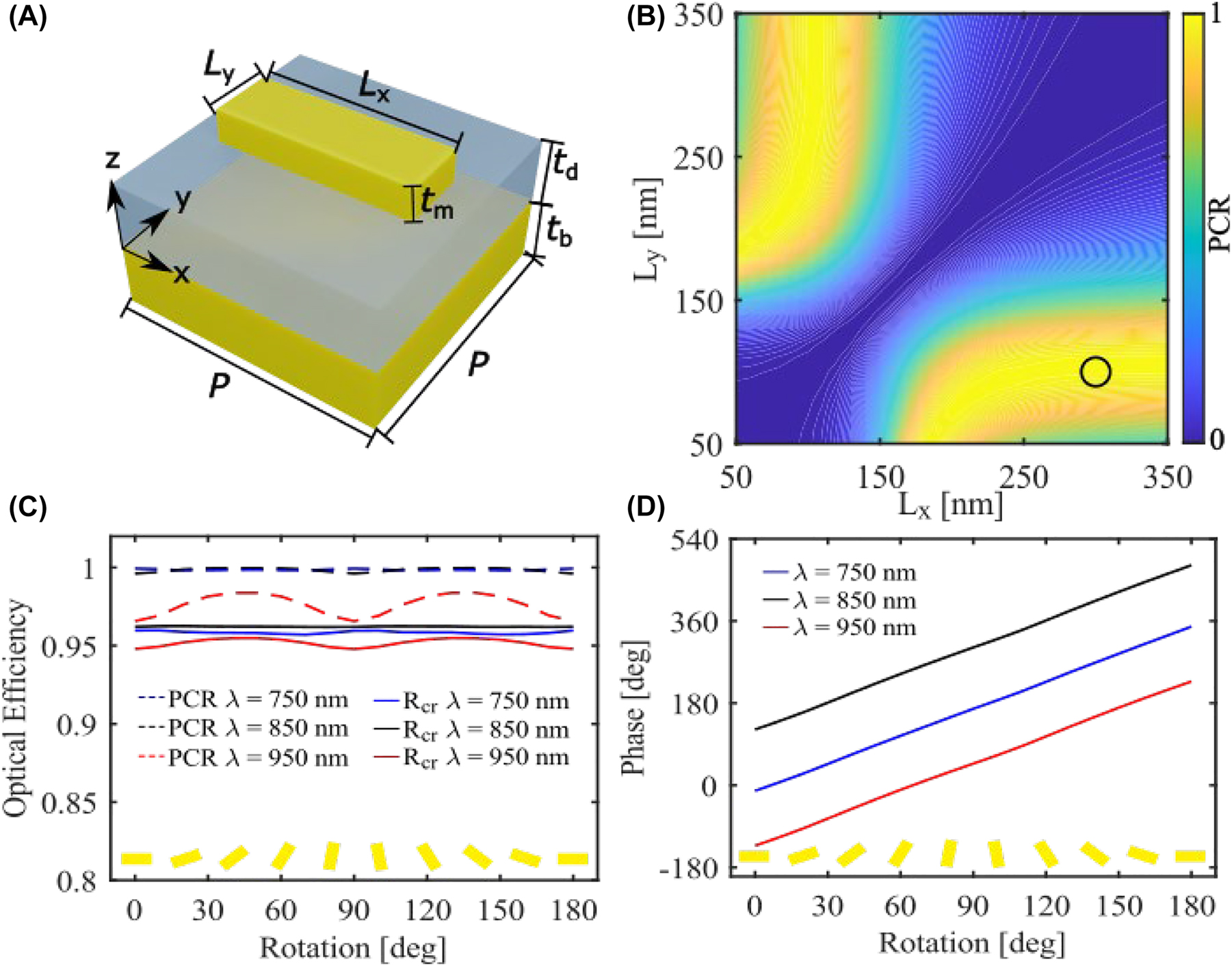 Figure 2: 
Simulation results of the GSP meta-atom. (A) The schematic of the GSP meta-atom. (B) The simulated PCR as a function of the lateral dimensions L
x and L
y at λ = 850 nm with the fixed periodicity of p = 400 nm, nanobrick thickness of t
m = 50 nm, SiO2 spacer thickness of t
d = 100 nm, and bottom Au film thickness of t
b = 100 nm. The black circle marks the dimension area with a high PCR above 96%. (C) The simulated PCR and R
cr of the desired meta-atom with different rotations at three different wavelengths. (D) The simulated phase shift of the cross-polarized reflected light of the desired meta-atom with different rotations at three different wavelengths under the RCP excitation. The orientation of the nanobrick is annotated at the bottom in (C) and (D).