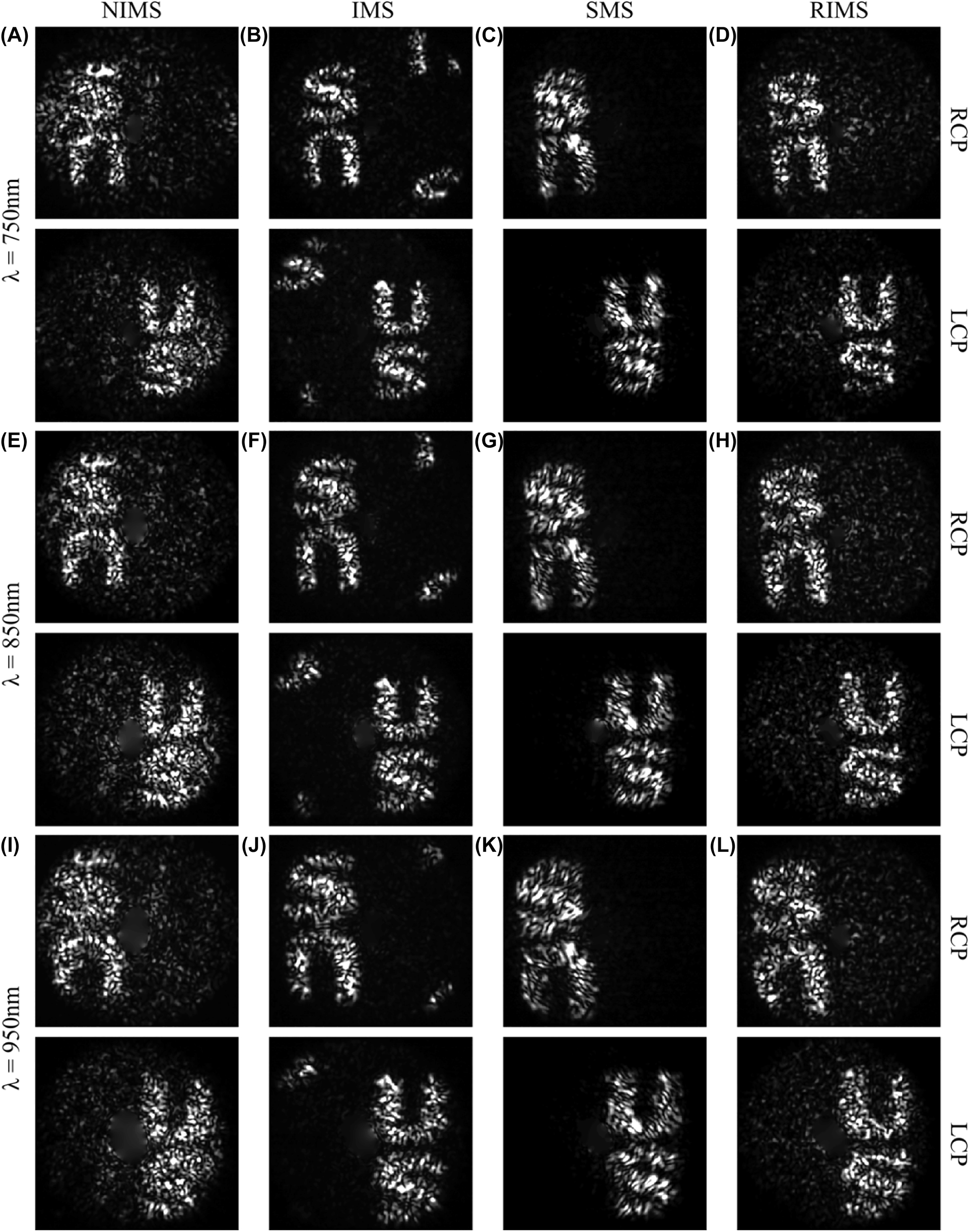 Figure 4: 
Reconstructed images of four different metasurfaces at wavelengths of (A–D) 750, (E–H) 850, and (I–L) 950 nm, respectively, under the RCP excitation (top) and LCP excitation (bottom).