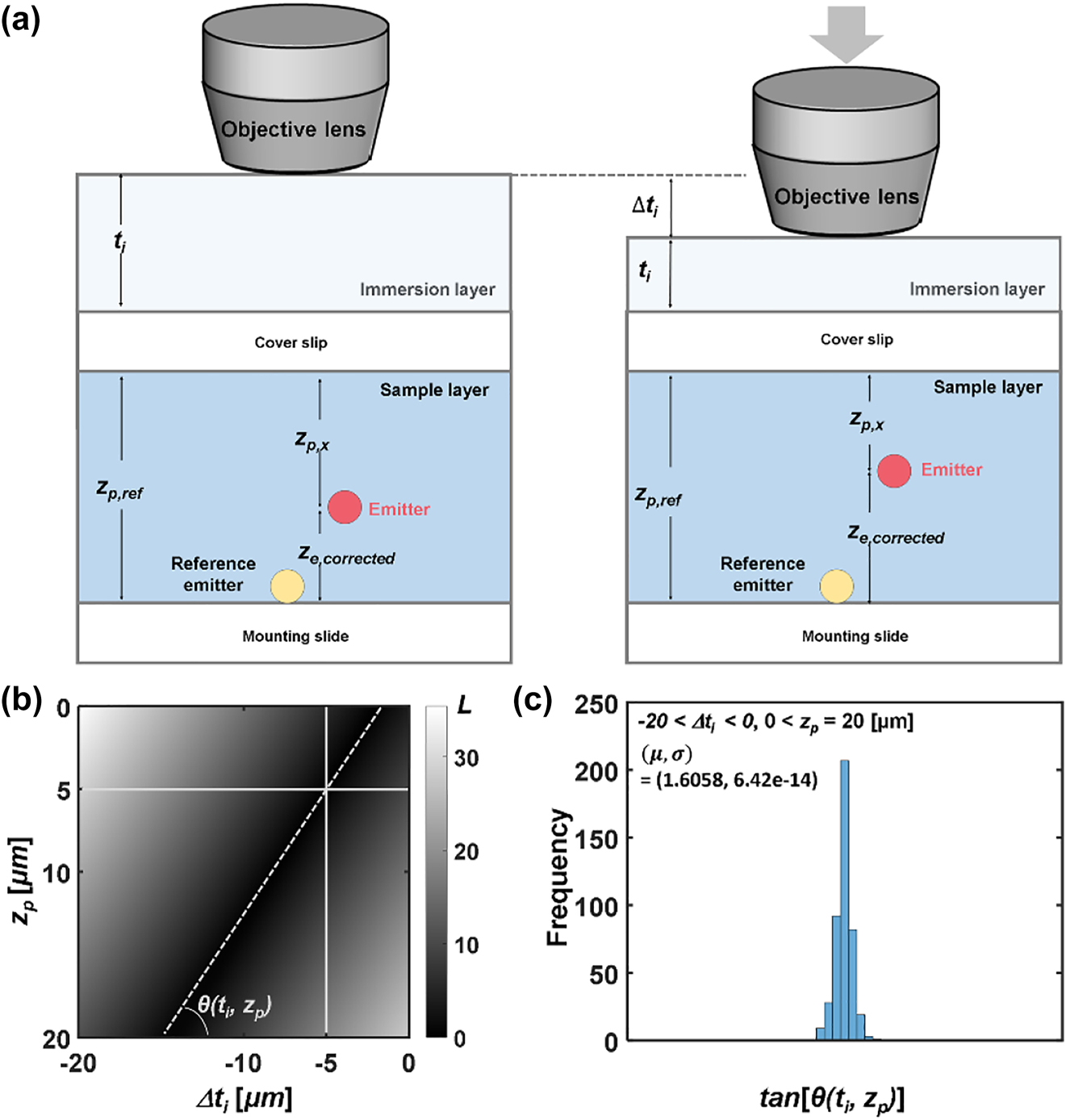 Figure 4: 
Compensation of refractive index mismatch between immersion layer and water/glycerol solution. (a) Schematic illustration of experimental conditions: a fluorescent emitter positioned in a sample layer in refractive index distribution. Downward movement of an objective lens reduces t

i
 (Δt

i
 < 0). Refractive index of the immersion and the sample layer: n

i
 = 1.0 and n

s
 = 1.4471. (b) Variance measure L was obtained in the range of −20 μm < Δt

i
 < 0 and 0 < z

p
 < 20 μm with respect to (Δt

i
, z

p
) = (−5 μm, 5 μm). The angle formed by linear contour and horizontal axis is defined as θ. (c) The distribution of the angle θ in the range of −20 μm < Δt

i
 < 0 and 0 < z

p
 < 20 μm.

