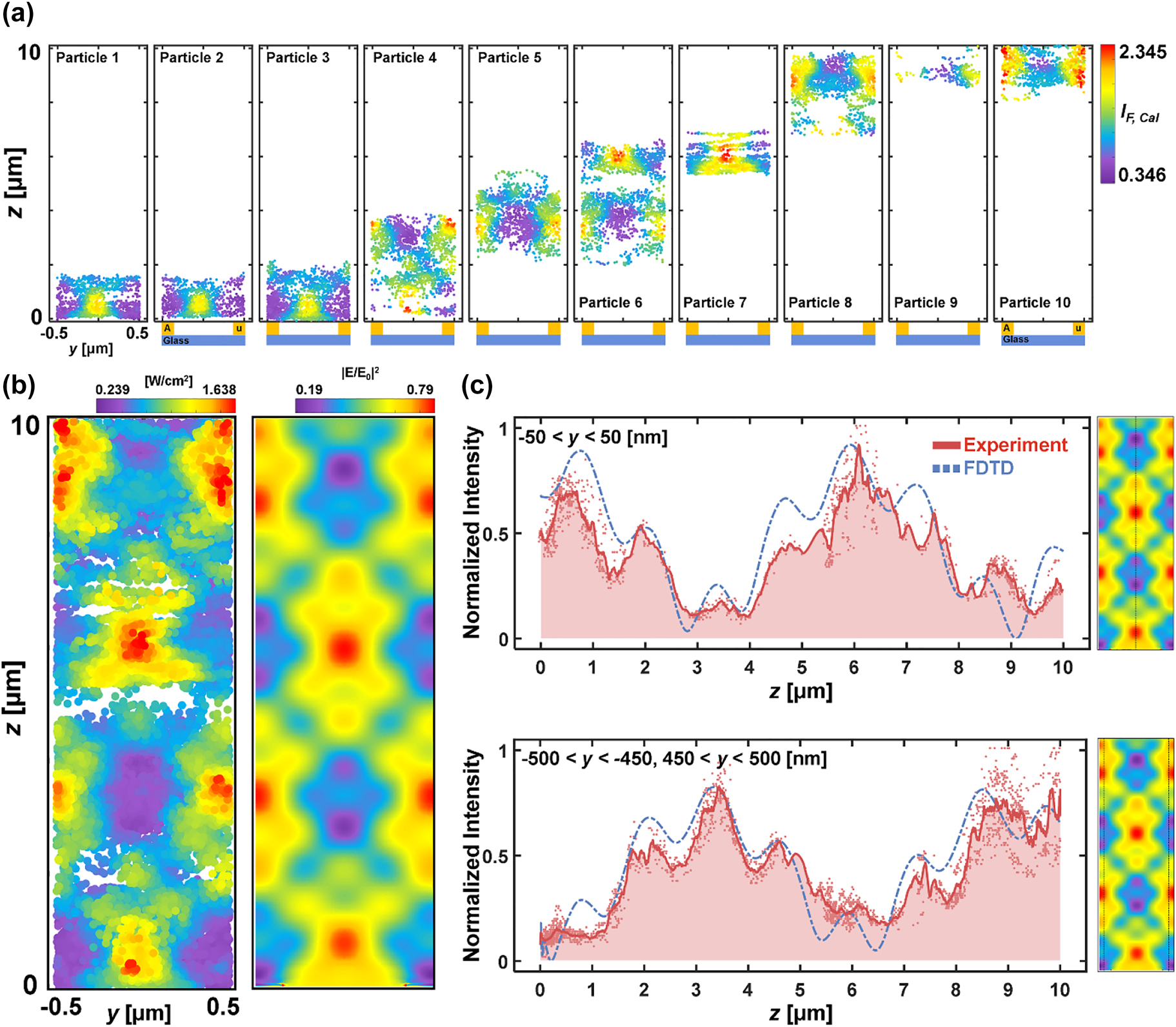 Figure 5: 
Near-field mapping over 700-nm width of nanoslits. (a) Individual near-field component maps in the yz plane obtained with 8 fluorescent nanoparticle emitters. (b) Left: merged optical near-field intensity map out of 14 fluorescent emitters. Right: theoretical near-field distribution induced by nanoslits. Both were evaluated at excitation wavelength (λ = 488 nm). (c) Normalized intensity profiles of I

F,cal along y = 0 (top) and y = 0.5 µm (bottom) presented in block-dotted lines. Points within a 50-nm distance were projected to form a line in the z-direction. The theoretical near-fields are given in blue solid lines for comparison.
