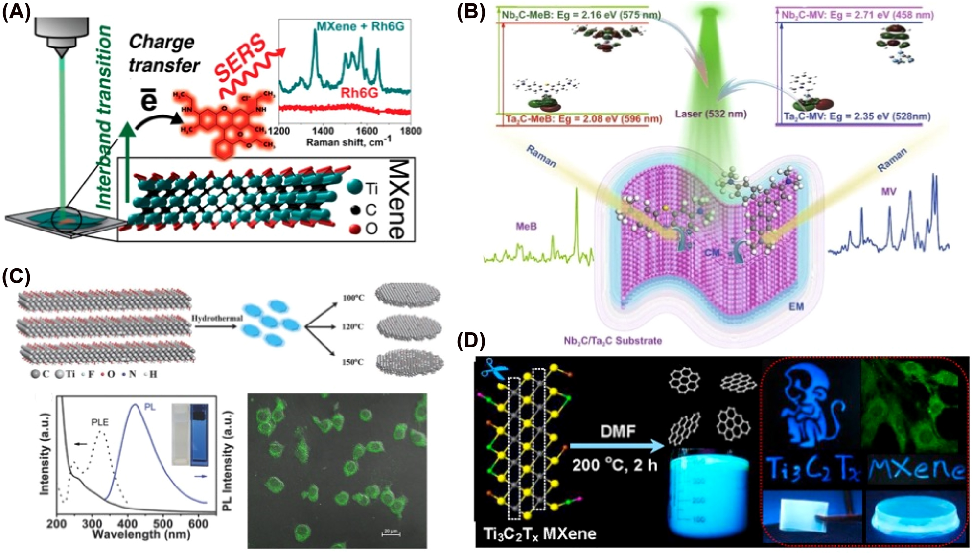 Figure 7: 
Application of MXenes in bioimaging. (A) Ti3C2T
x
 has enhanced the Raman signal. (B) Nb2C and Ta2C MXenes are remarkable SERS enhancement probes. (C) MQD showed excitation-dependent photoluminescence spectra with high quantum yields. (D) Photoluminescence Ti3C2 MXene quantum dots for multicolor cell imaging. Figures are adapted from references [113–116].
