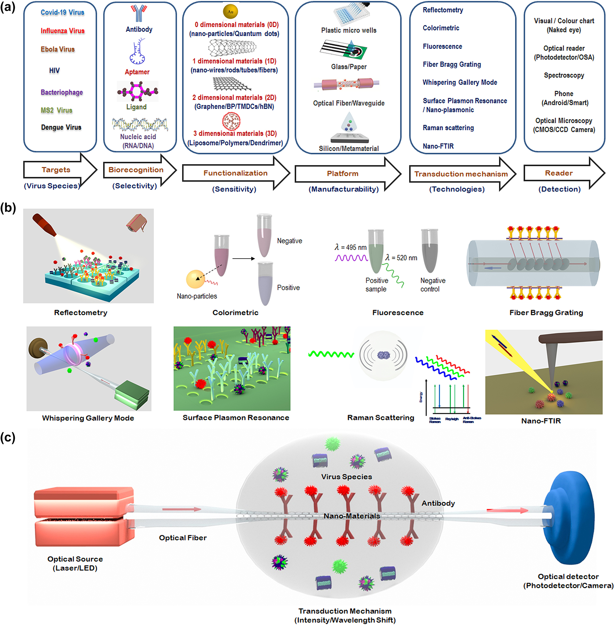Figure 1: 
Schematic depiction of optical biosensing methods for virus detection. (a) Various steps involved in choosing an optical biosensor for virus detection. (b) Visual illustration of some of the most common optical transduction mechanisms, with a focus on the mechanisms of greatest relevance to detection of virus variants relevant to COVID-19. (c) Schematic diagram of a typical optical diagnostic for virus detection.
