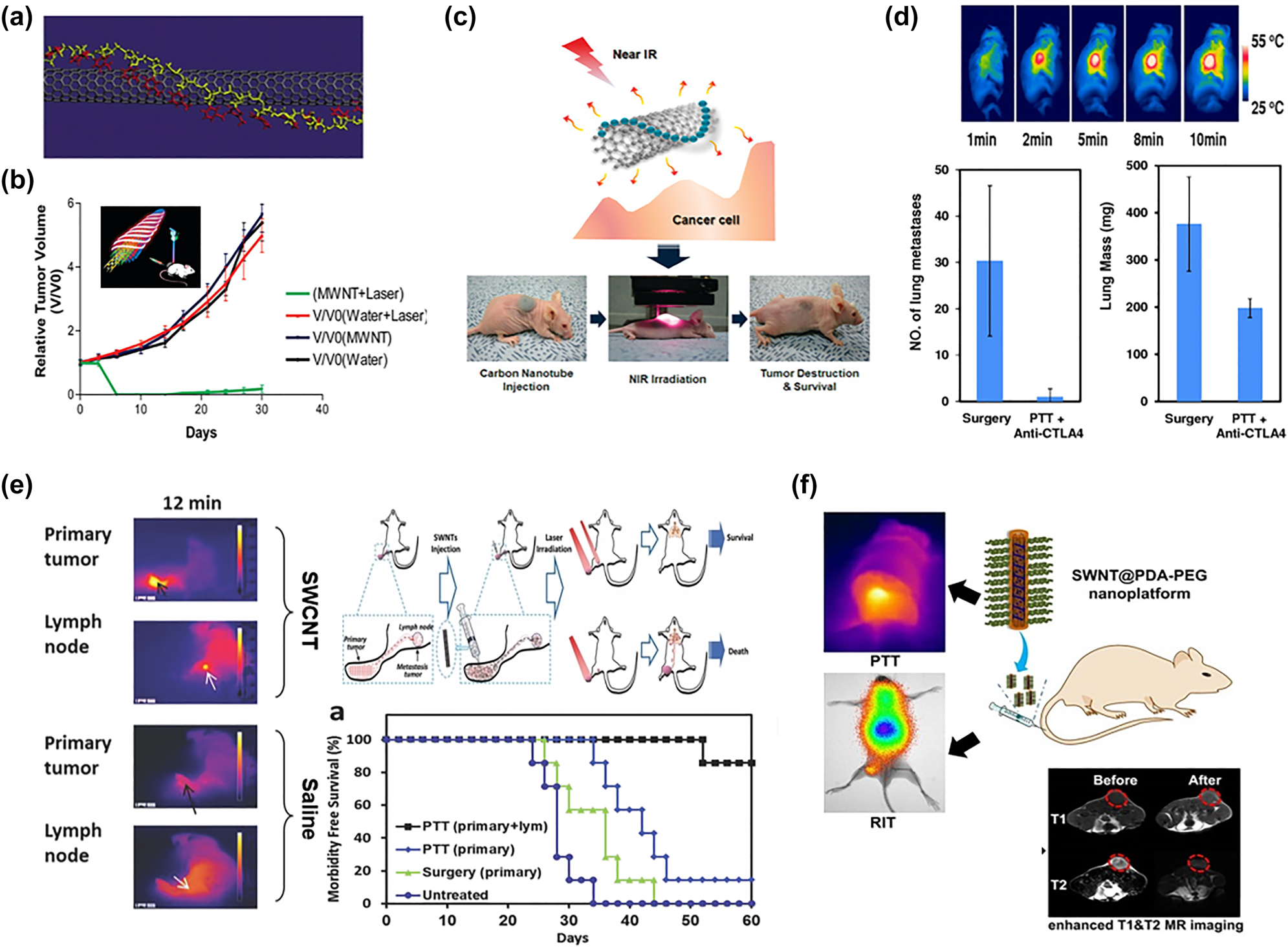 Figure 3: 
CNT as phototherapy agents: (a) DNA-assisted dispersion of CNTs [45], Copyright 2022 Nature Publishing Group. (b) DNA-attached MWCNTs for PTT [64], Copyright 2022 ACS AuthorChoice. (c) PEG-SWCNTs for NIR PTT [44], Copyright 2022 American Chemical Society. (d) immune responses triggered by anti-CTLA-4 SWCNT [71], Copyright 2022 John Wiley and Sons. (e) image guide-SWCNTs for PTT [72], Copyright 2022 John Wiley and Sons. (f) RIT&PTT by SWCNTs [73], Copyright 2022 Ivyspring International Publisher.
