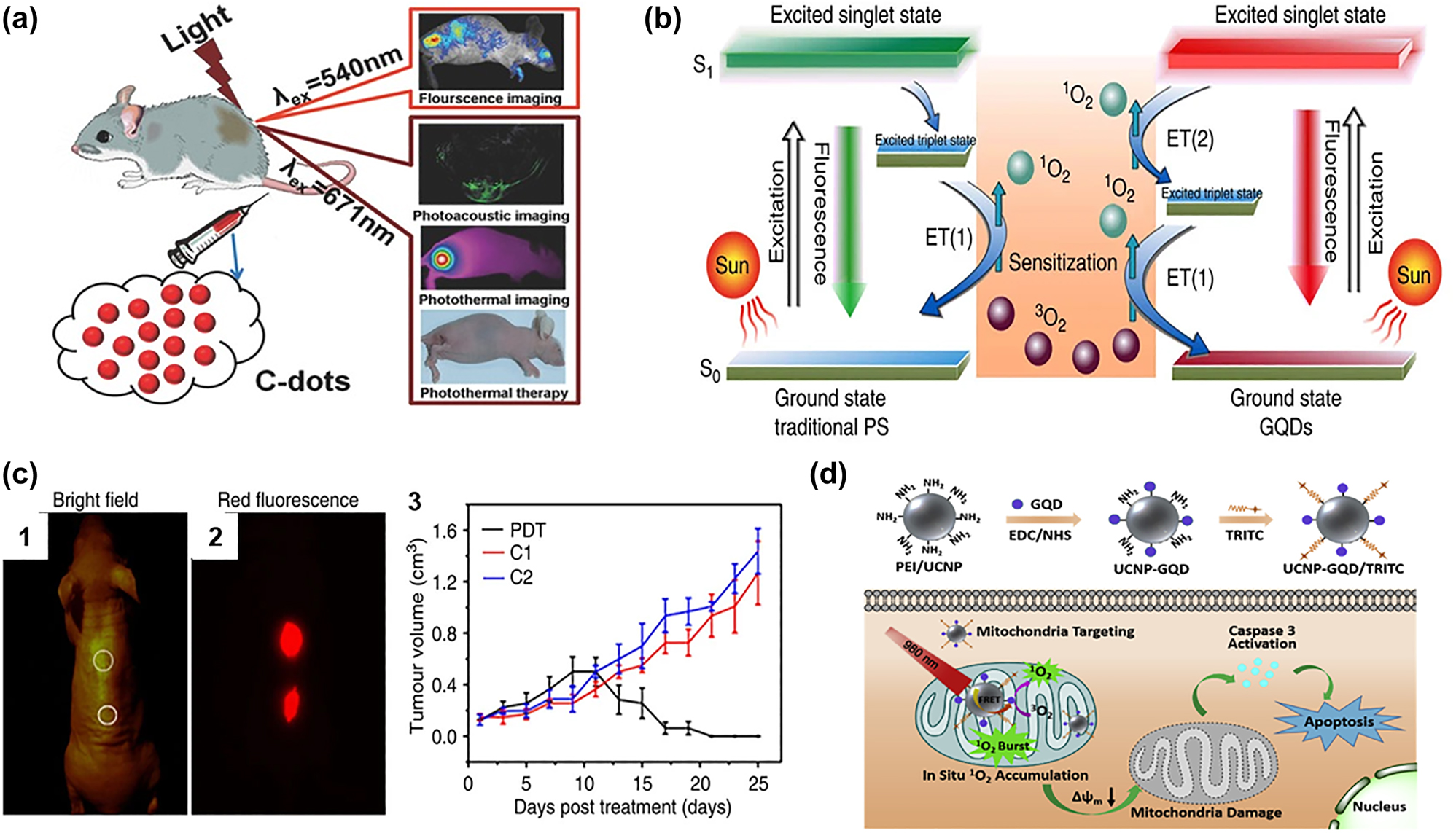 Figure 5: 
CQDs for phototherapy: (a) Red-emission CQDs for imaging and PTT, Copyright 2022 John Wiley and Sons. [130], (b & c) CQDs for PDT [133], Copyright 2022 Ge, J. et al. (d) CQDs for NIR-II mitochondria specific PDT [134], Copyright 2022 Elsevier publishing group.
