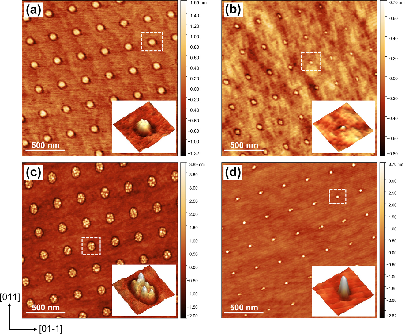 Figure 2: 
AFM micrographs of (a) and (b) square arrays of nanoislands with different sizes on AlGaAs surface induced by in situ four-beam DLIP. 2.5 ML Ga were deposited on the nanoisland-templated surface at T
s = 100 °C with (c) multiple Ga droplets nucleate at large nanoislands, and (d) single or pair Ga droplets nucleate at small nanoislands. The insets display the enlarged 3-D AFM images.