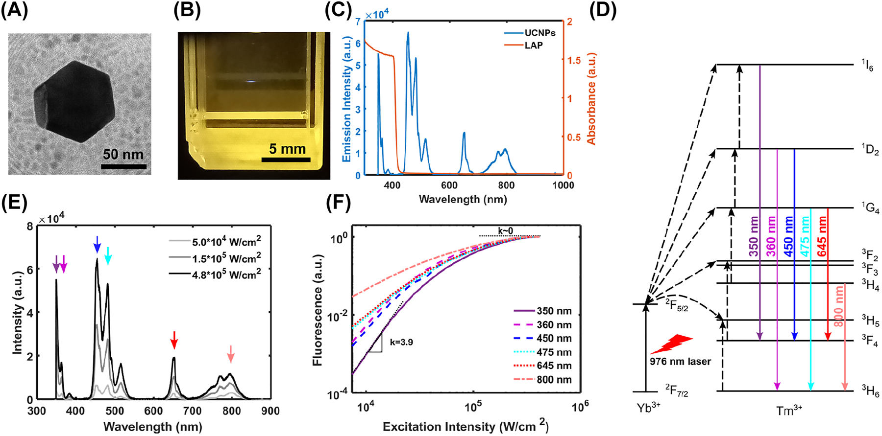 Figure 2: 
Characterization of UCNPs. (A) Transmission electron microscopy image of a typical UCNP used in our system. (B) Fluorescent voxel in a 10 mm × 10 mm cuvette containing aqueous UCNPs produced by a CW focused laser beam (intensity at the focal plane: 19 kW/cm2, wavelength: 976 nm). (C) Emission spectrum of UCNPs (blue) upon NIR light illumination and absorption spectrum of LAP (orange). a.u., arbitrary units. (D) Energy level diagram of NaYF4: Yb3+, Tm3+. Solid arrows represent the photon absorptions or emissions, and dashed arrows represent different energy transfer processes. (E) Emission spectra of UCNPs in the gelatin solution at the excitation intensity of 50, 150 and 480 kW/cm2. (F) The power-dependent emission curve at different fluorescence peaks marked in (E). Each curve is normalized to show the nonlinearity difference.