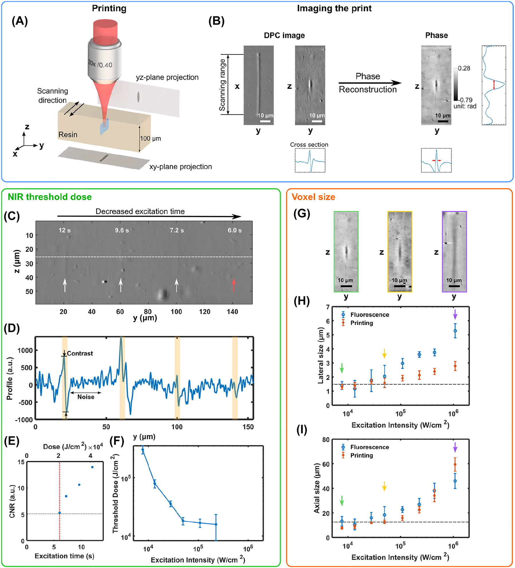 Figure 3: 
Characterization of the NIR threshold dose and the printed voxel size. (A) Schematic illustration of the method for printing and characterizing a ‘voxel’. Because of the small refractive index mismatch between crosslinked and unpolymerized gelMA, the beam is scanned on the x-axis to increase the phase change and improve the imaging contrast in the yz-plane. (B) For the characterization, the prints are imaged with a DPC microscope. The acquired images enable the reconstruction of the phase of the samples with sufficient contrast to extract features like the voxel size. (C) DPC images of voxels (marked with arrows) with different doses of NIR light (NIR intensity: 1.1 × 105 W/cm2, exposure time: 6–12 s). The dose used to print the voxel indicated by the red arrow corresponds to the polymerization threshold dose at this excitation intensity. (D) Profile along y-direction across the center of the voxels (highlighted in yellow), and (E) the corresponding CNR. The gray dotted line indicates the CNR of the image we choose for the polymerization threshold, and the red dotted line indicates the threshold dose. (F) Polymerization threshold dose versus the excitation intensity. (G) Reconstructed phase of voxels printed at different excitation intensities with CNR ∼15 in DPC images (for a similar refractive index change). Lateral (H) and axial (I) size of the fluorescence and the printed voxels versus the excitation intensity. The dashed line marks the focal spot size of the NIR beam in each direction.