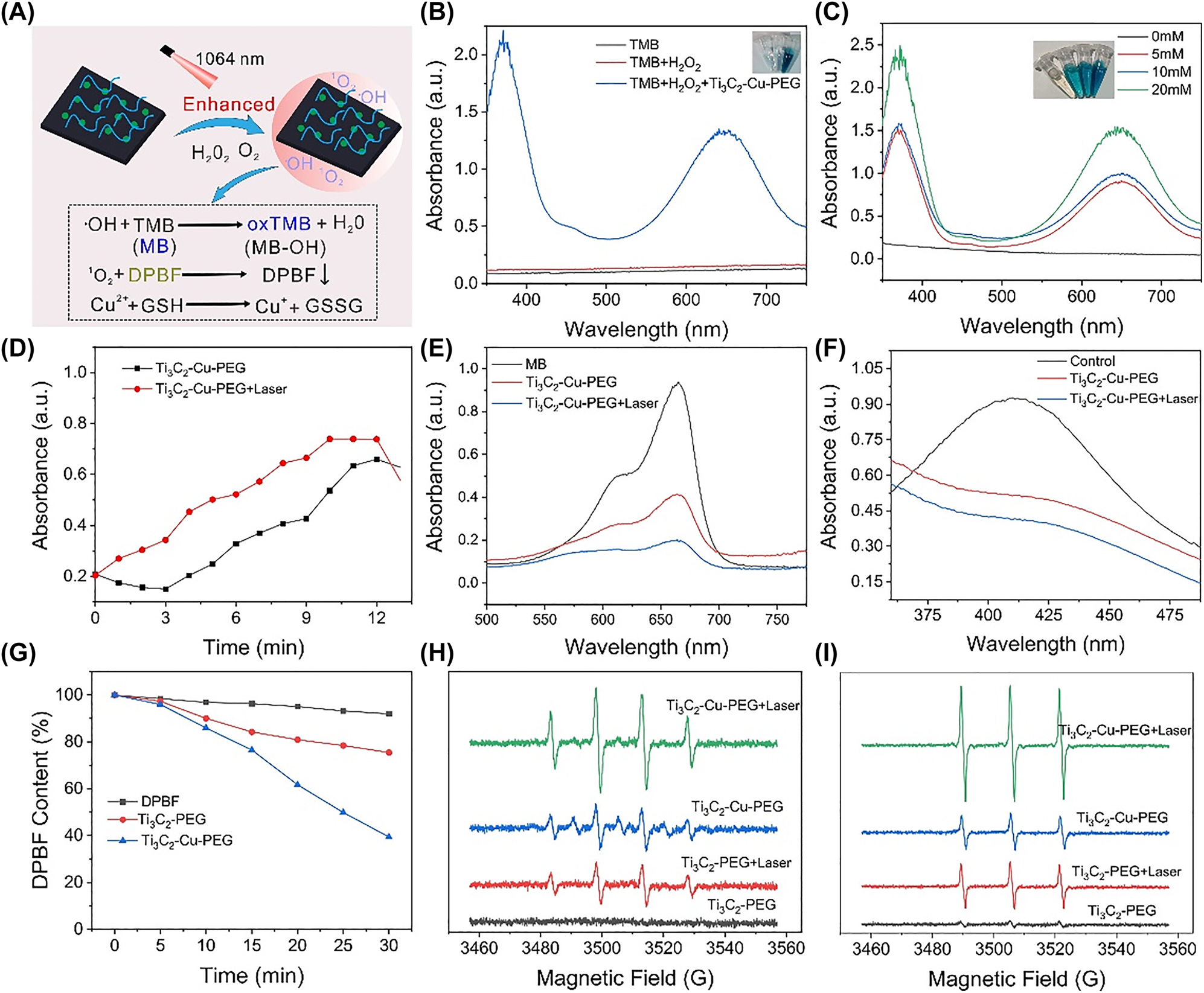Figure 3:
In vitro ROS generation. (A) Schematic presentation of ROS detection and GSH-depletion of Ti3C2-Cu-PEG. (B) UV–vis absorption spectra of the catalyzed oxidation of TMB (oxTMB) under different conditions. The insets are the corresponding visual color changes. (C) UV–vis absorption spectra of the oxidation of TMB (oxTMB) on Ti3C2-Cu-PEG with different H2O2 concentrations. The insets are the corresponding visual color changes. (D) Time-dependent absorbance changes at 652 nm of the oxidation of TMB for Ti3C2-Cu-PEG with or without laser irradiation. UV–vis absorption spectra of MB (E) and (F) GSH consumption after treated with Ti3C2-Cu-PEG with or without laser irradiation. (G) Depletion of DPBF due to 1O2 generation of Ti3C2-PEG and Ti3C2-Cu-PEG under laser irradiation. (H) ESR spectra of ·OH trapped by DMPO and 1O2 trapped by TEMP (I) with or without laser irradiation of Ti3C2-PEG and Ti3C2-Cu-PEG with or without laser irradiation (1064 nm, 1 W/cm2).