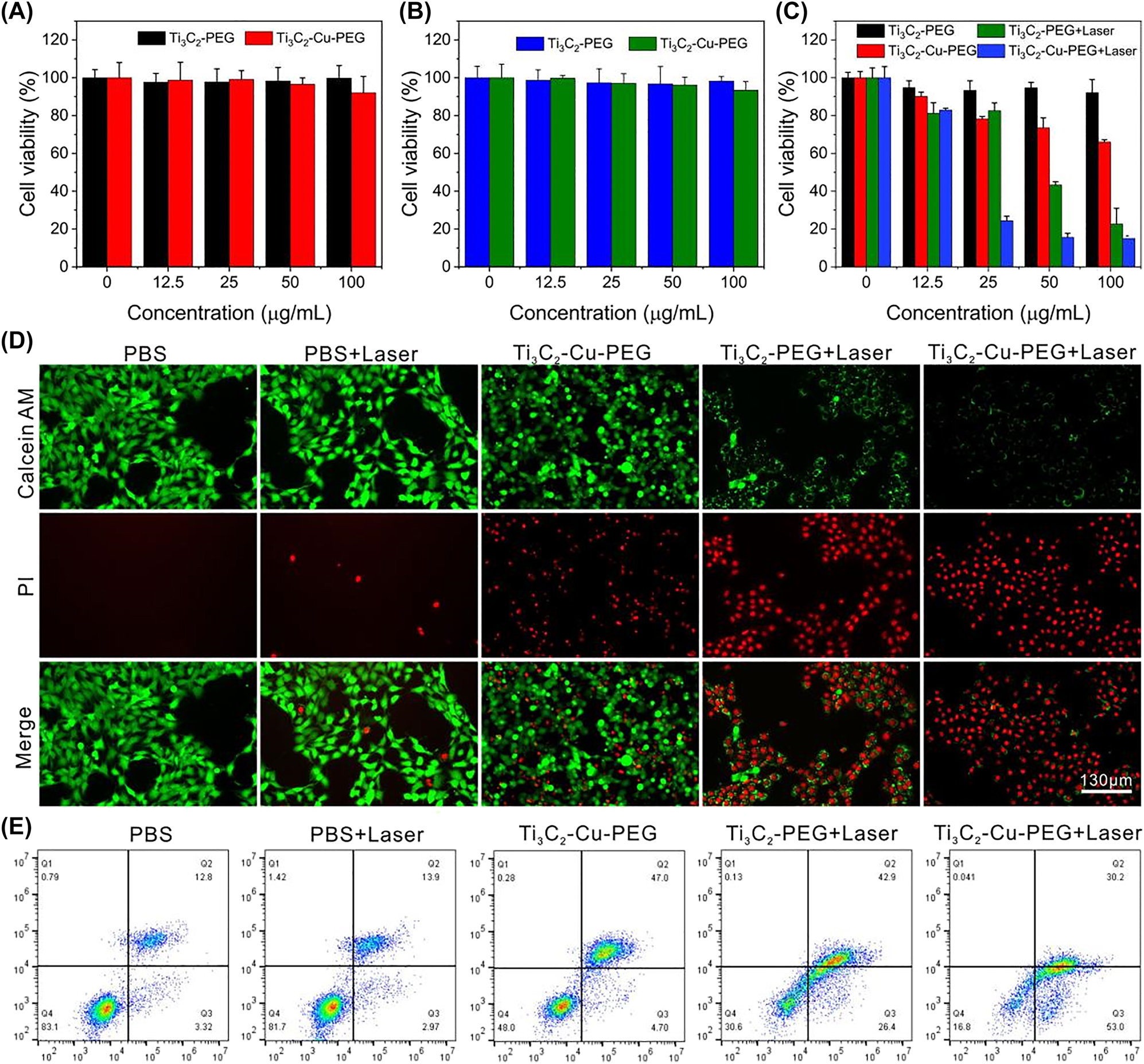 Figure 5:
In vitro evaluation of the cytotoxicity for cancer cells under NIR irradiation. Relative cell viabilities of HUVEC cells (A), and NIH3T3 cells (B) incubated with Ti3C2-PEG and Ti3C2-Cu-PEG at diverse concentrations (0, 12.5, 25, 50, 100 μg/mL). (C) Cytotoxicity profiles of 4T1 cells after being treated with different formulations. (D) Calcein-AM/PI staining and, (E) flow cytometry analysis of cell apoptosis of 4T1 cells incubated with different formulations.