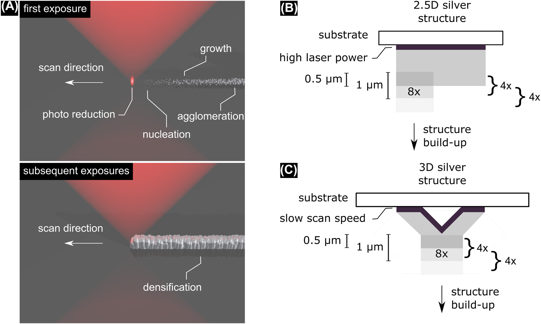 Figure 1: 
(A) Principle of DLW of metallic structures: after multi-photon excitation a photo reducing agent donates electrons to a silver precursor. The reduced silver ions nucleate to form seeds which grow to nanoparticles that subsequently agglomerate to form the building block of the structure. Subsequent exposures connect isolated agglomerates and densify the structure. (B) Fabrication strategy: a first seed layer is fabricated using high laser power. For subsequent layers laser power is reduced. Slices of 1 µm thickness are repeated four times before proceeding half a micrometer. Thus, each point is exposed 8×. (C) Fabrication scheme for 3D structures: The first overhanging layer is fabricated with slow scan speeds. All subsequent layers are fabricated following the same routine as in B.
