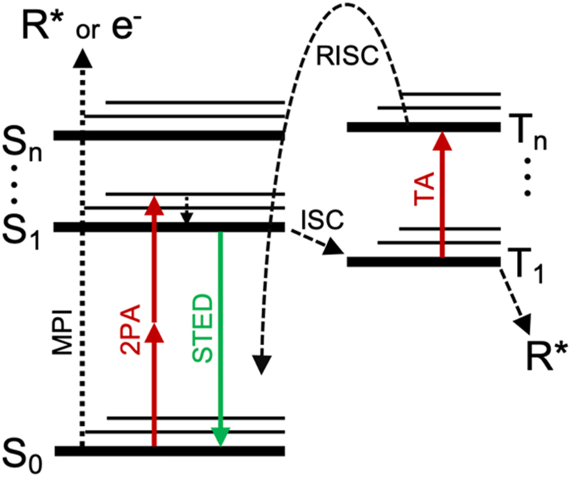 Figure 1: 
Simplified Jablonski diagram of possible photoinitiator transitions.