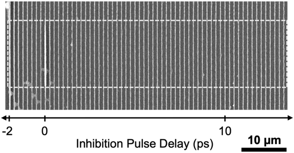 Figure 4: 
Pump-probe lithography of DETC photoresist containing 0.461% DPIHFP as coinitiator. The inhibition probe beam was turned on during the central region indicated, though no inhibition of printing was observed. Printing laser power was 2.14 mW and the probe laser power was 0.789 mW. Lines were printed at 100 μm s−1.