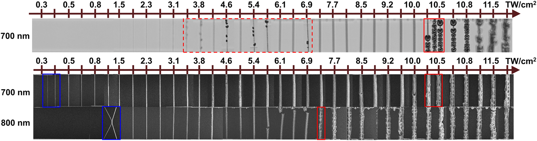 Figure 6: 
An example of the RBs manufactured using 100 fs pulses at two different λ in SZ2080TM + IRG369 prepolymer at different intensities: 700 nm – upper two rows, and 800 nm – bottom row. The first row shows optical images taken during the MPP process. The bottom two rows show SEM images after full development in solvent and CPD. The blue and red zones mark intensities at which the polymerization and optical damage thresholds were observed. The dashed red zone shows an example of bubble formation seen in optical images.