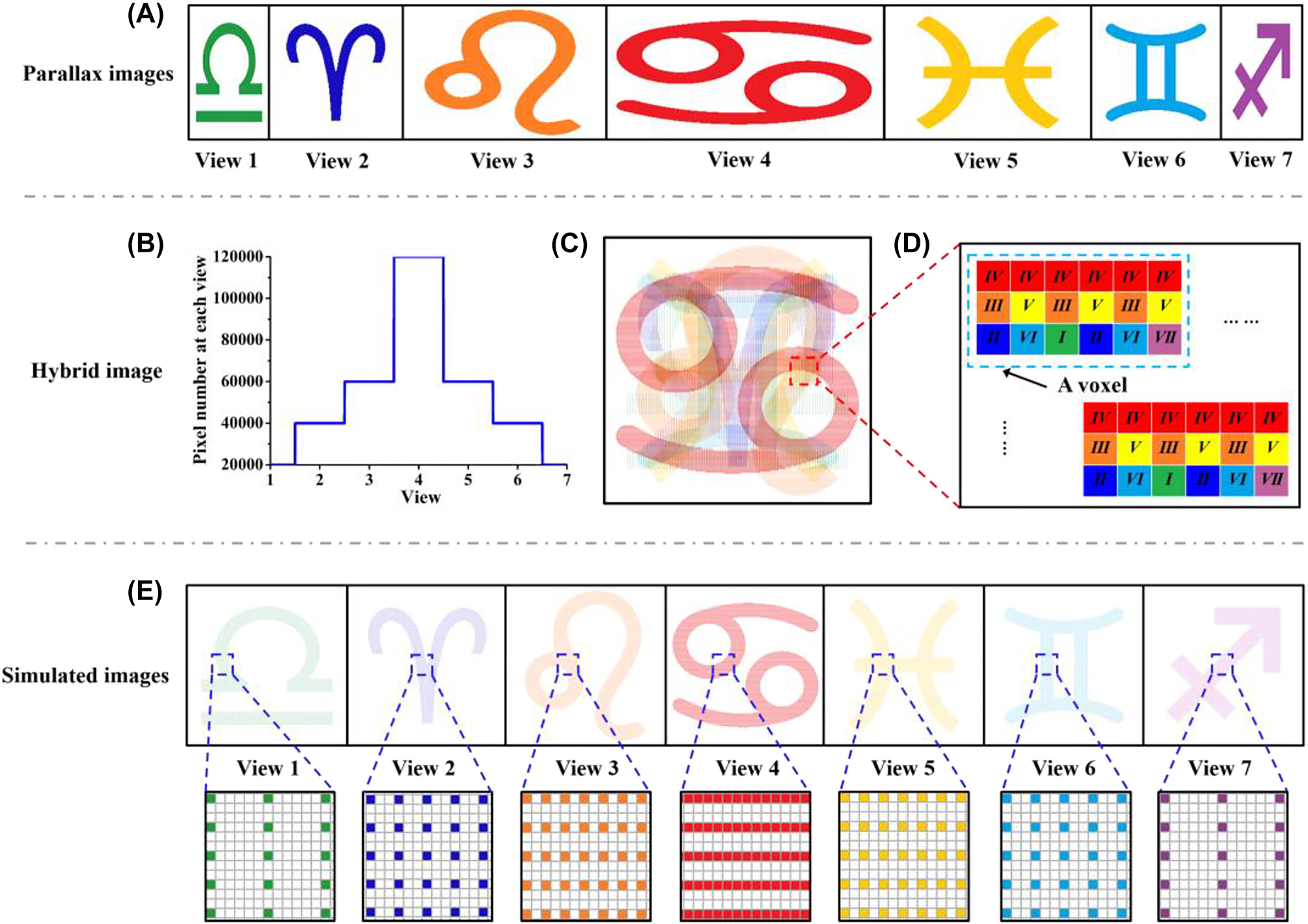 Figure 2: 
Schematic of the modulation method of spatial resolution in the horizontal direction. (A) Seven ‘astrological symbol’ parallax images with various pixel number in the horizontal direction. The pixel number is 100 × 200 at View 1 & 7, 200 × 200 at View 2 & 6, 300 × 200 at View 3 & 5 and 600 × 200 at View 4, respectively. (B) Distribution of pixel number at each view. (C) The hybrid image which contains seven parallax images. (D) Schematic of the arrangement of pixels in the voxels. There are 6 × 3 pixels in one voxel. (E) The simulated images observed at each view.