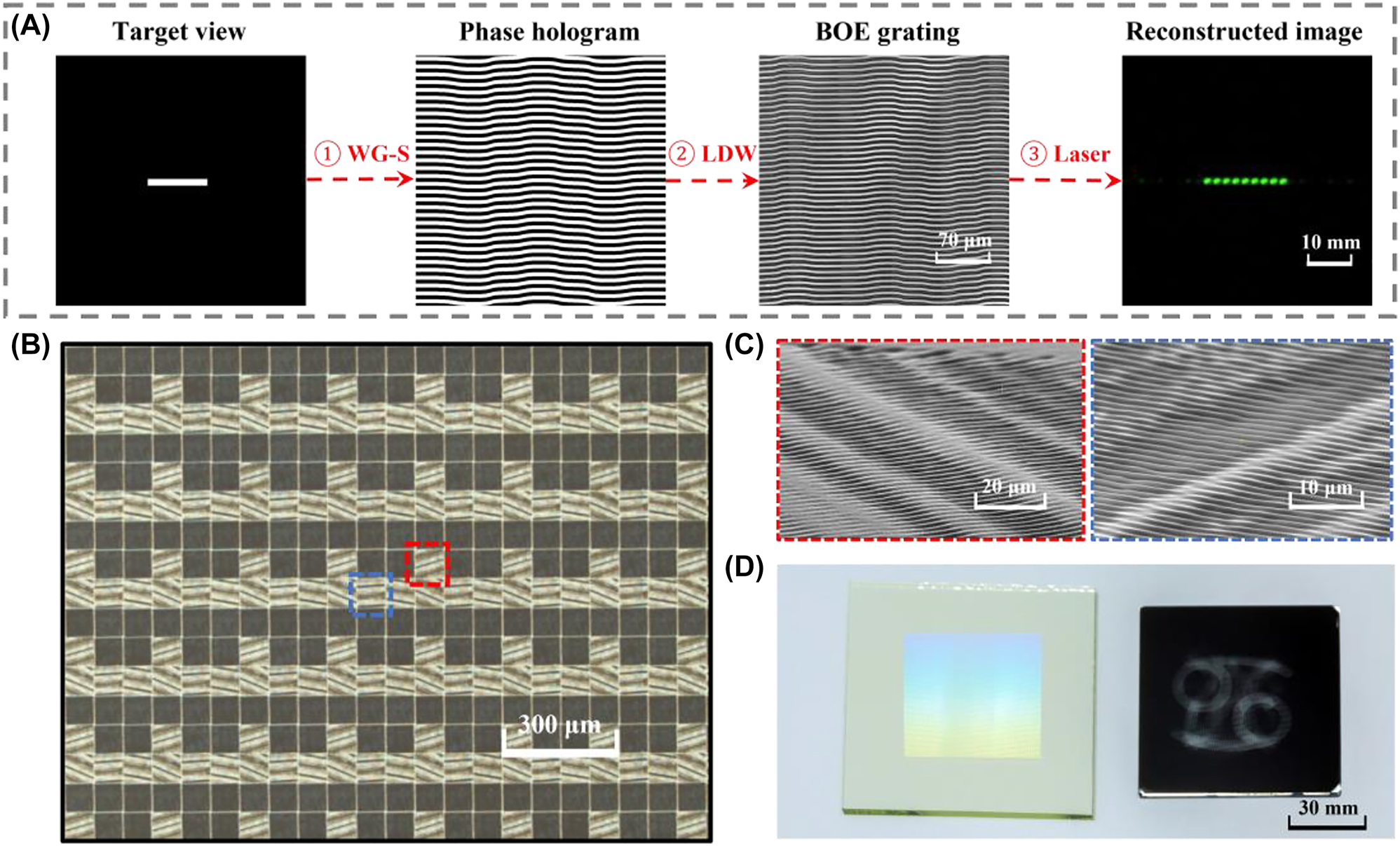 Figure 4: 
Design and fabrication flow of the metagrating complex: (A) design process of the BOE grating: ① generating the phase hologram using a weighted G-S algorithm; ② transforming the phase hologram into the BOE using laser direct writing; ③ reconstructing the target image using a 532 nm laser. (B) The microscope image of the pixelated metagrating complex. (C) Magnified SEM images of 2D metagratings. (D) Photo of the fabricated view modulator and a shadow mask.