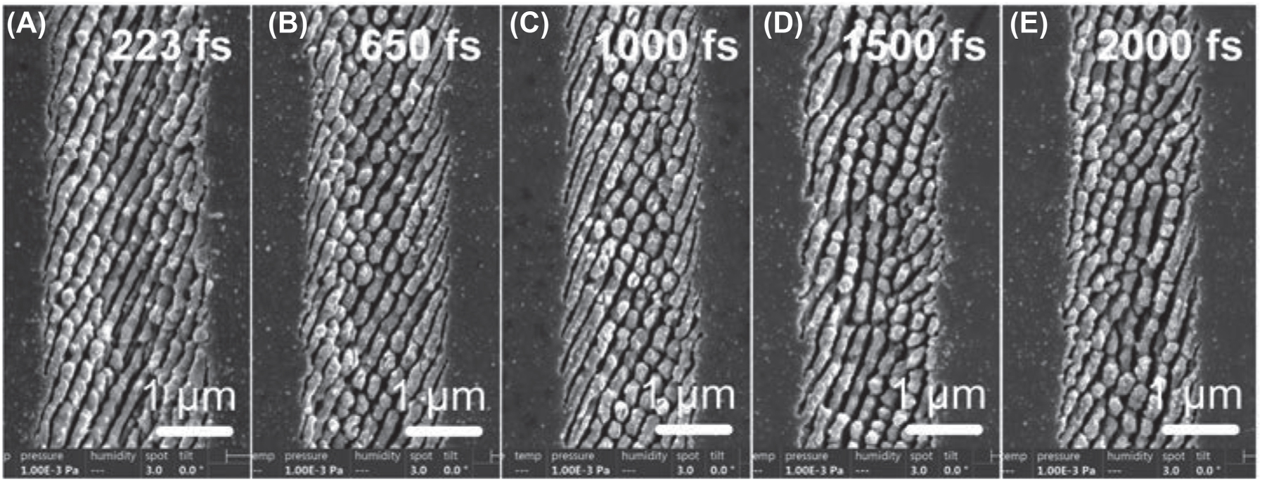 Figure 3: 
HSFL fabricated using circularly polarized laser beam with pulse duration from 223 fs to 2000 fs. The processing parameters: F
p
 = 1.26 J/cm2, pp = 37.