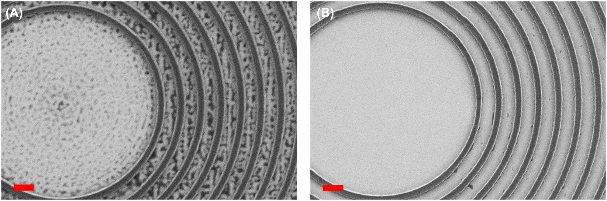 Figure 5: 
SEM images of the same BE, right after development (A) and after additional 10 s O2 plasma (B). Dark areas correspond to resist, and white areas correspond to the GaN below. Scale bars represent 1 μm.