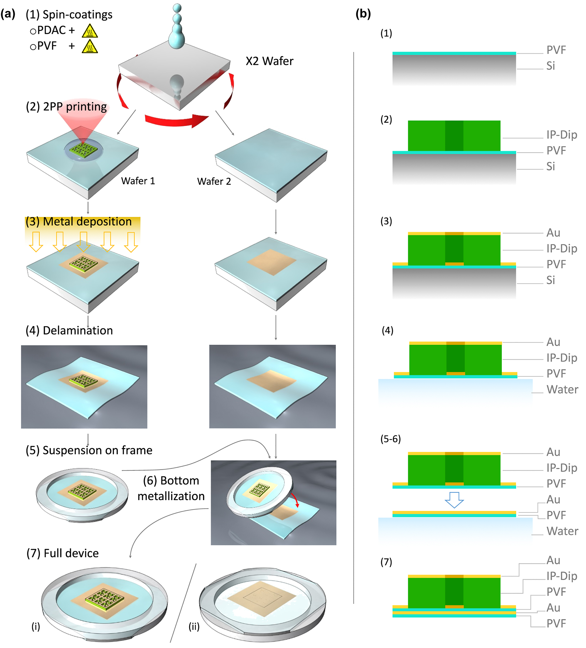 Figure 1: 
Fabrication process flow. (a) Steps of the fabrication of the ultra-thin conformable metasurface absorbers. (1) Spin-coating of the polymeric thin film on a silicon wafer. Two different wafers are processed in parallel. (2) Printing by 2PP of the IP-Dip cross-linked structure which acts both as dielectric spacer and pattern for the metallization of the device on the first wafer (left sample). (3) Shadow-mask deposition of a 50 nm-thick gold pad on both PVF coated silicon wafers over an area larger than the printed structure. (4) Delamination in water of the polymeric thin film of both wafers carrying the metallized metasurface and the gold pad (left and right samples, respectively). (5) Collection on a holed frame of the delaminated PVF film carrying the metallized 2PP structure. (6) Collection on the same frame of the second PVF film presenting the gold pad which is aligned to that of the metasurface in order to create its bottom metallization. (7) Top (i) and bottom (ii) view of the final device are shown by the left and right sketches, respectively. (b) Schematic profile of the metasurface unit-cell through the entire fabrication process.