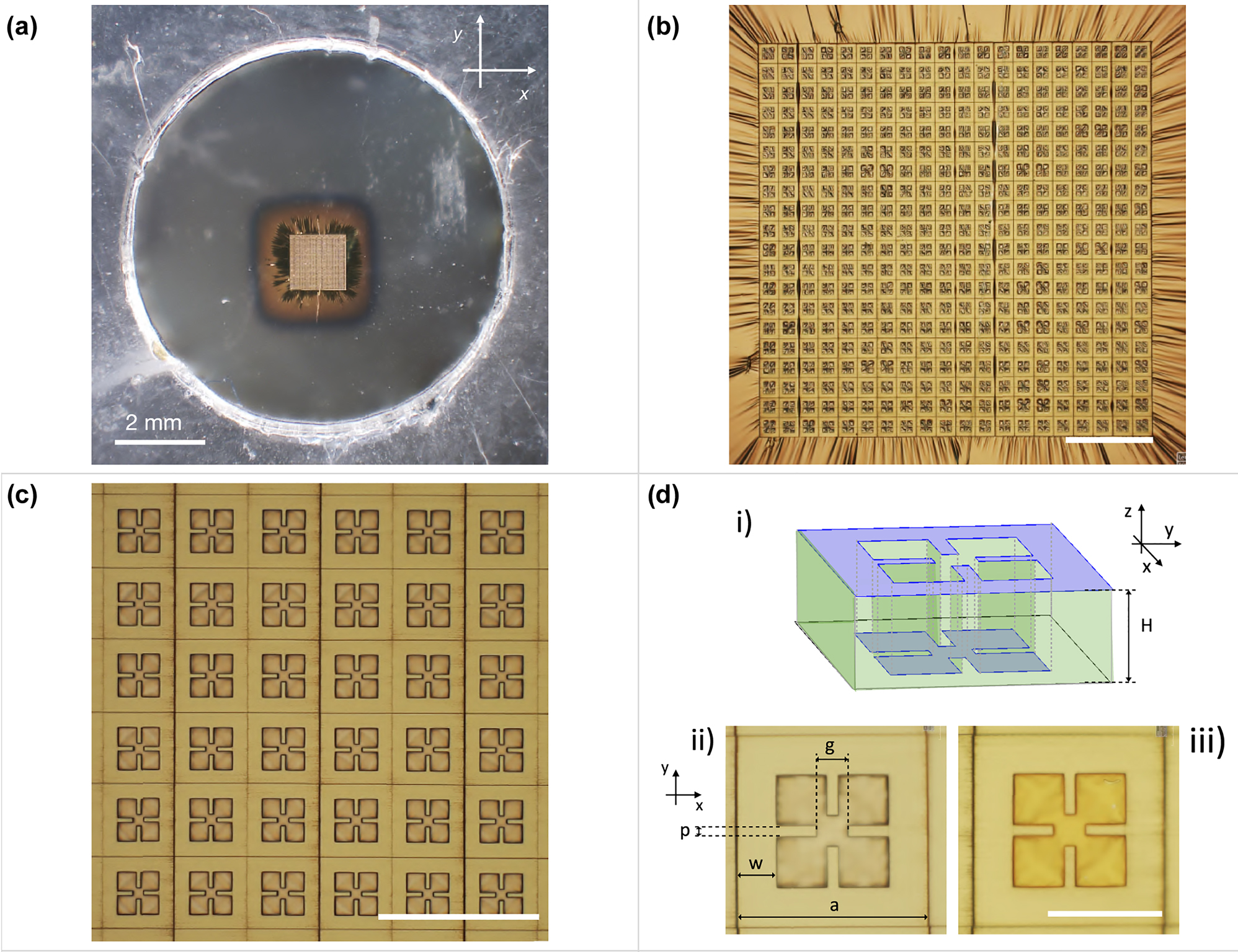 Figure 2: 
Optical images of a representative fabricated conformable THz metasurface absorber with only the top metallization. (a) Freestanding metasurface absorber on a 50 nm-thick PVF layer after delamination and collection on a holed frame. (b) 2PP patterned region of the ∼2 × 2 mm2-large, 2 μm-thick metasurface. (c) Zoom of the metasurface showing the square array of split ring resonators. (d) Scheme of the single metal metasurface unit-cell (i): 3D sketch highligthing (in violet color) the two complementary metal surfaces displaced by the resist thickness (green). The metasurface thickness was scaled by a factor 5 for clarity. Front (ii) and back (iii) view of the metasurface unit-cell of 45 μm-size. The resonator geometrical parameters are reported. Scale bars in (b), (c) and (d) are 200, 100 and 30 μm, respectively.
