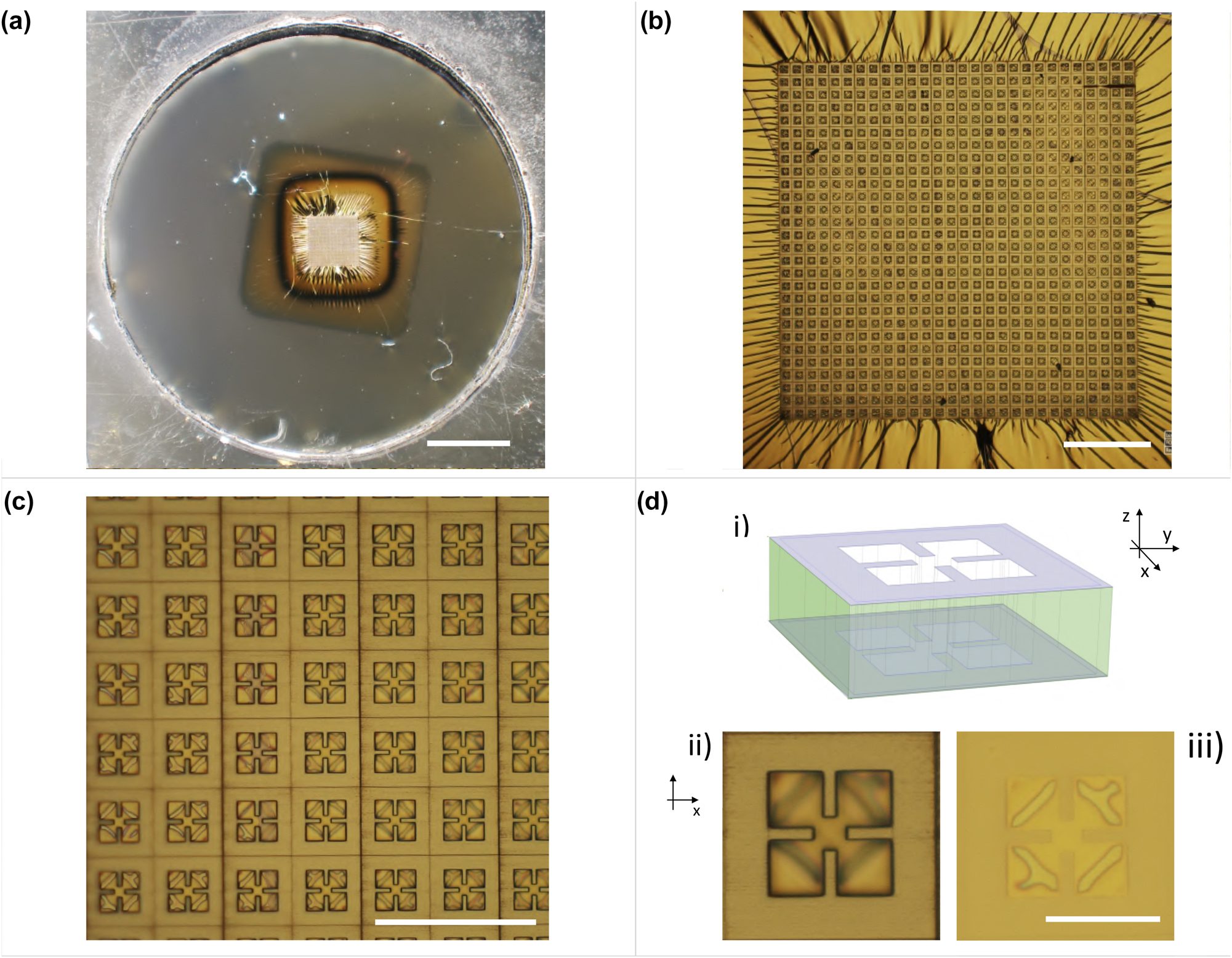 Figure 5: 
Optical images of a conformable THz metasurface absorber where the top ground plane was added to form the DM-structure. (a) Freestanding DM absorber on the ultra-thin PVF layer at the end of the fabrication process. (b) Image of the 2 × 2 mm2 central region of the sample where the metasurface is located. (c) Zoom (700×) of the metasurface. (d) Scheme of the DM metal unit-cell (i): 3D sketch highlighting (in violet color) the top and bottom metal surfaces displaced by the resist thickness (green). The metasurface thickness was scaled by a factor 5 for clarity. Front (i) and (ii) back view of the metasurface unit-cell of 43 μm-size (×3000). Scale bars in (a), (b), (c) and (d) are 2000, 200, 100 and 30 μm, respectively.