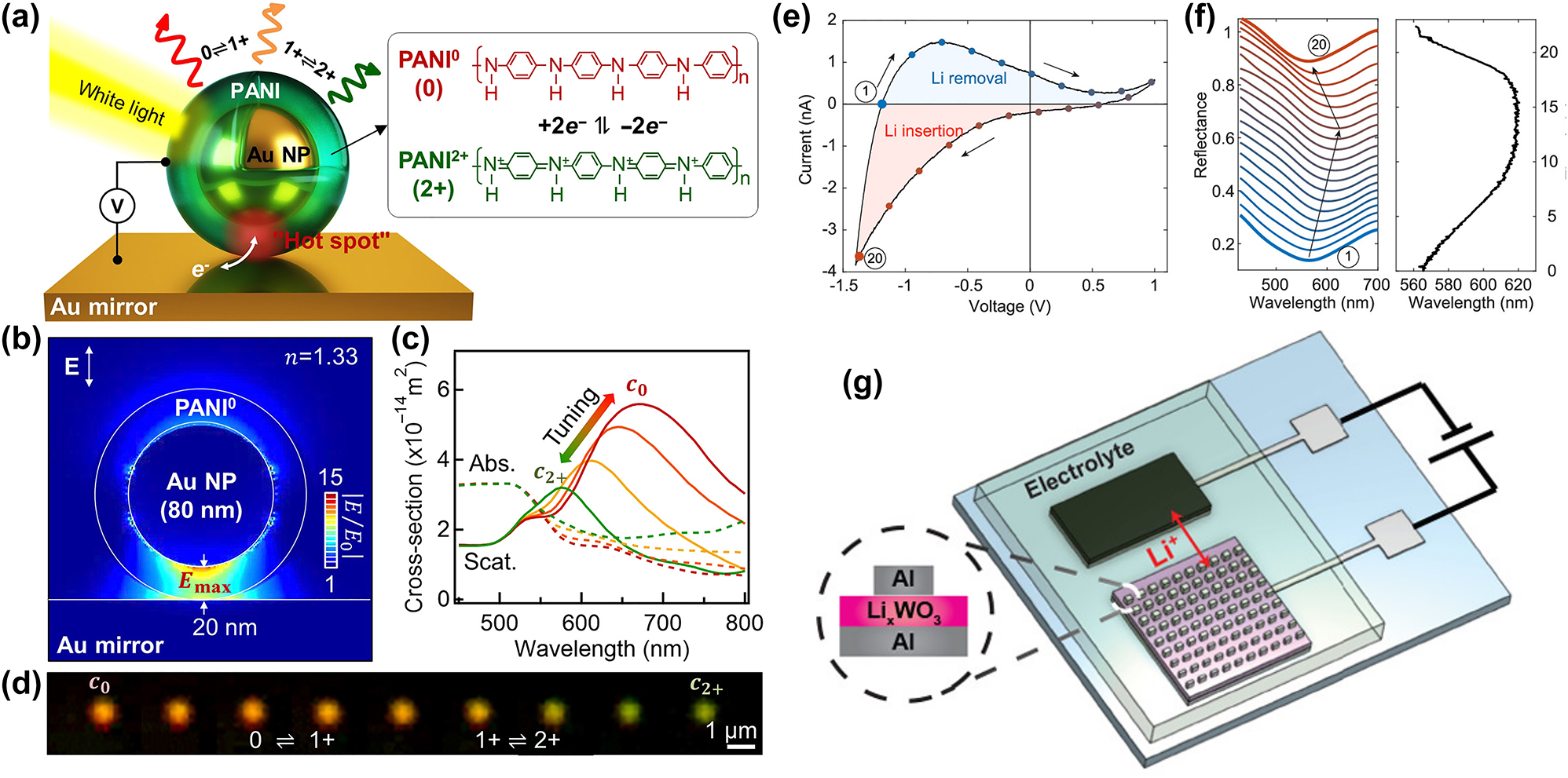 Figure 3: 
Nanoplasmonic electrochromic color devices for full color modulation. (a)–(d) Plasmonic nanopixels based on a PANI modulation layer. (a) Schematic of the proposed device. An 80 nm Au nanoparticle is coated in a 20 nm-thick PANI shell and placed on a gold mirror, creating a plasmonic “hot spot” between the Au components. (b) FDTD simulation of the electric field distribution and (c) absorption and scattering spectra determined through the numerical approach. (d) Dark-field images of the nanopixel during electrochemical redox cycling [30]. (e)–(g) Dynamic gap plasmon color printing device. (g) Schematic of the EC plasmonic nanodevice with Al nanostructures and a solid PEO electrolyte. (e) CV curve of the plasmonic nanodevice and (f) reflectance spectra (left) and wavelength of minimum reflection (right) taken during cyclic voltammetry, showing a continuous shift [16].
