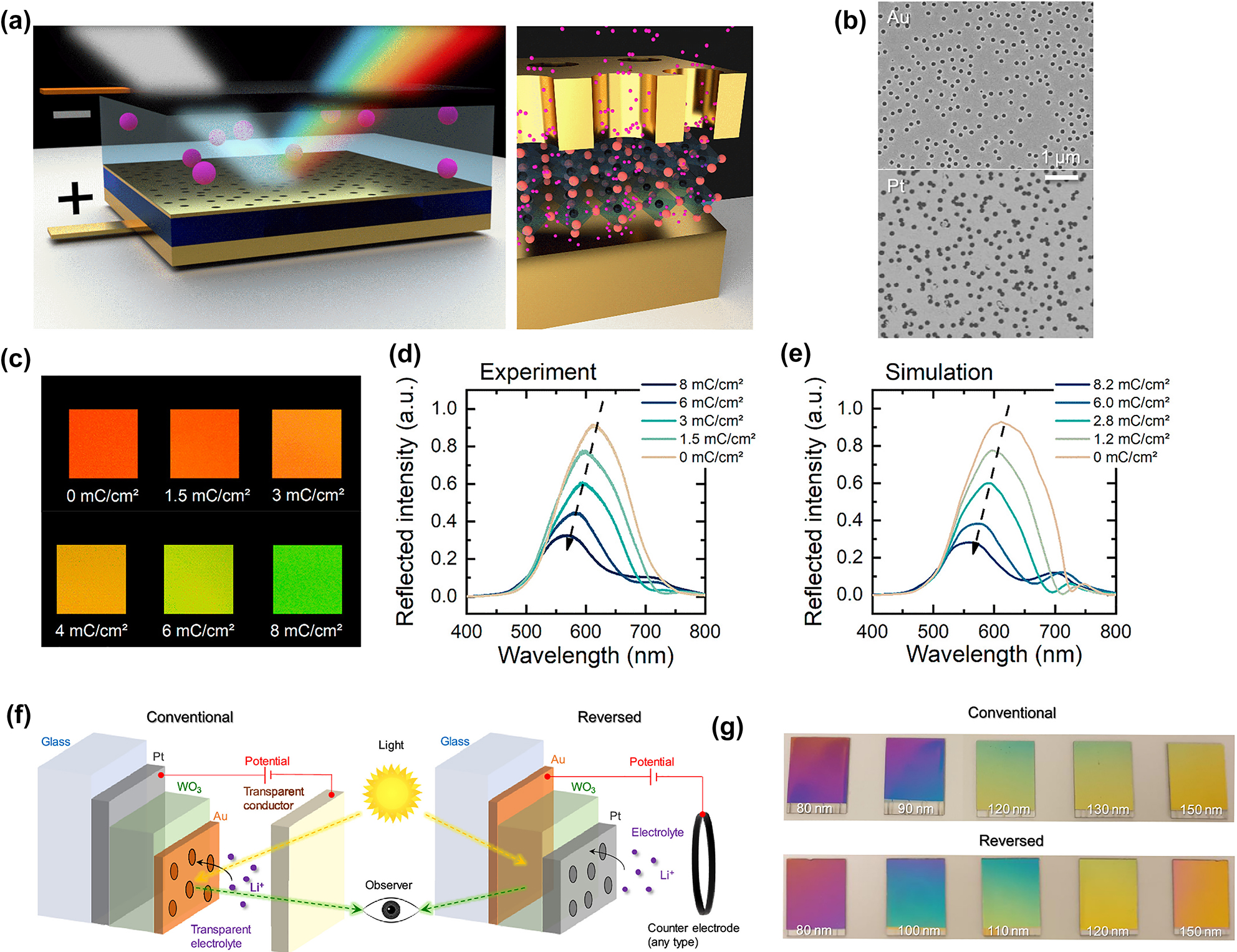 Figure 8: 
Fabry–Perot nanocavity with plasmonic NHA. (a) Schematic of a cavity-type device having NHA (Li+ ions in pink). (b) SEM images of random NHA fabricated in Au and Pt films. (c) Achieved colors in WO3 plasmochromic nanocavity for different levels of lithiation [15]. (d) and (e) Corresponding reflectance spectra as measured and simulated for a 120 nm-thick WO3 film. (f) Schematic of conventional and inverted device design of an F–P nanocavity with plasmonic Pt NHA. (g) Large rage colors generated by Gugole et al. [94].
