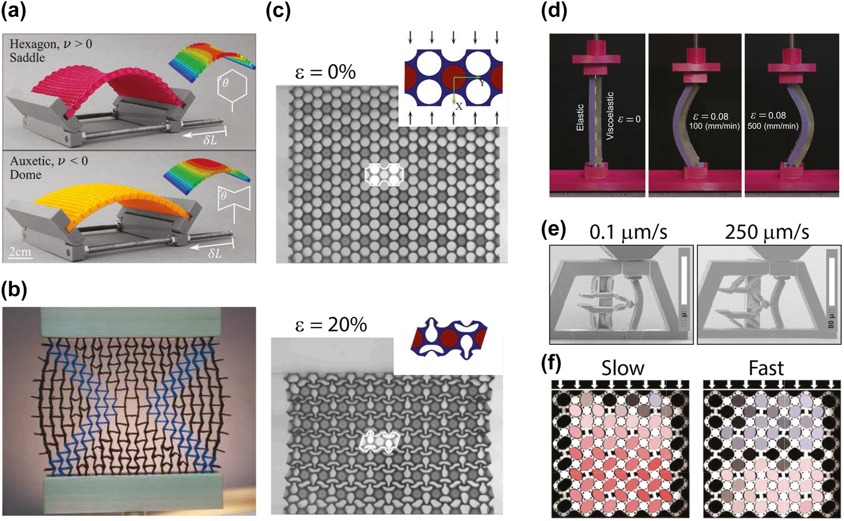 Figure 5: 
Mechanical metamaterials. (a) By controlling the values of Poisson’s ratio, one can control the out-of-plane curvature of meta-plates (adapted from M. J. Mirzaali, et al., Advanced Materials, 33(30), p. 2008082 (2021)); (b) a wider range of properties can be achieved by intruding multiple materials in the structure of the mechanical metamaterials (Reprinted from M. J. Mirzaali et al. “Multi-material 3D printed mechanical metamaterials: Rational design of elastic properties through spatial distribution of hard and soft phases”, Appl. Phys. Lett. 113, 241903 (2018) with the permission of AIP Publishing); (c) numerical and experimental images of a multiphase composite with stiff inclusions and voids in an undeformed state and loaded in the x direction (adapted from J. Li, V. Slesarenko and S. Rudykh, Soft Matter, 14, 6171 (2018); (d) viscoelastic bi-beams buckle to left and right in response to the applied strain rate (adapted from S. Janbaz, et al., Science Advances, 6(25), p. eaba0616 (2020)); (e) A viscoelastic micro gripper powered by a bi-beam (adapted from S. Janbaz, et al., arXiv:2206.15168); (f) viscoelastic oligomodal metamaterials exhibit different global buckling modes once compressed slow or fast (adapted from A. Bossart, et al., PNAS, 118(21), p. e2018610118 (2021)).
