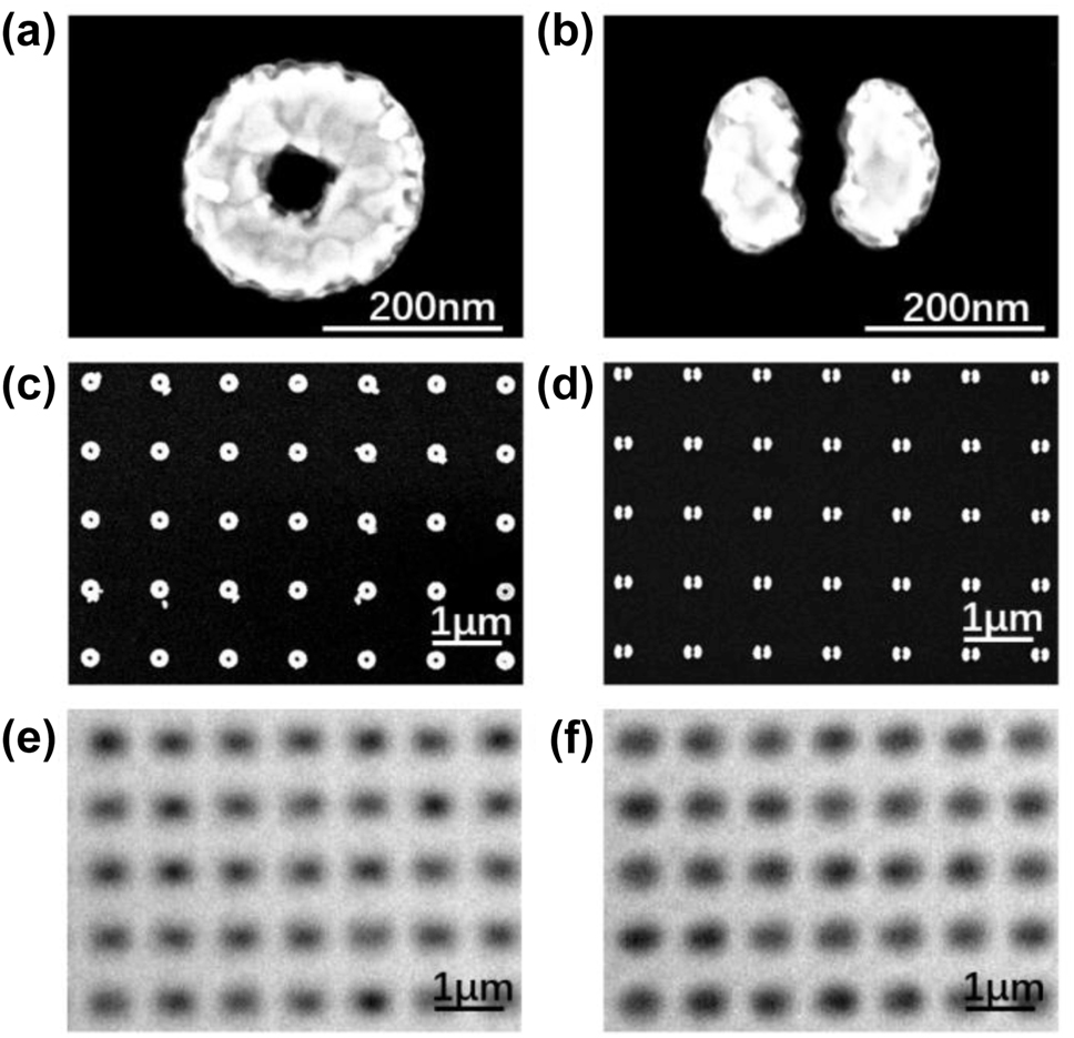 Figure 2: 
SEM images for ring and split-ring structures at (a)–(b) small scale and (c)–(d) large scale. Images for (e) ring and (f) split-ring structures from conventional microscope.