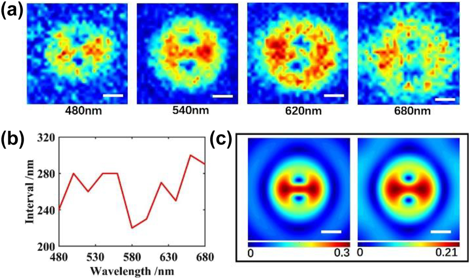Figure 5: 
Influence caused by the change of wavelength and the diffraction. (a) Sin δ image of split-ring under 480 nm, 540 nm, 620 nm and 680 nm wavelength, (b) interval between two singularity points under different wavelengths, (c) simulated sin δ before and after diffraction. Scale bar: 200 nm.
