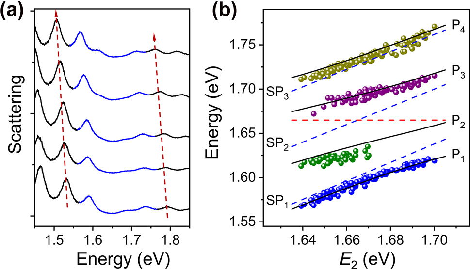 Figure 2:
Analyses of scattering spectra for Ag NW-WSe2 coupled systems. (a) Scattering spectra of a Ag NW on monolayer WSe2 with Al2O3 of different thickness. The thickness of Al2O3 is 5 nm, 5.6 nm, 6.6 nm, 8.6 nm, and 10.6 nm from bottom to top. The red arrows mark the redshift of SPL and SPH modes. The strong coupling regions are drawn by blue curves. (b) Energies of P1, P2, P3, and P4 (blue, green, purple, and dark yellow dots) as a function of the energy of SP2 mode E
2. The black lines are calculated by the Hamiltonian of four-coupled-oscillators model with coupling strength of g
1 = g
3 = 22 meV, and g
2 = 32 meV. The blue dashed lines show the energies of SP1 (E
1), SP2 (E
2), and SP3 (E
3) as a function of E
2. The red dashed line indicates the transmission dip energy of excitons.