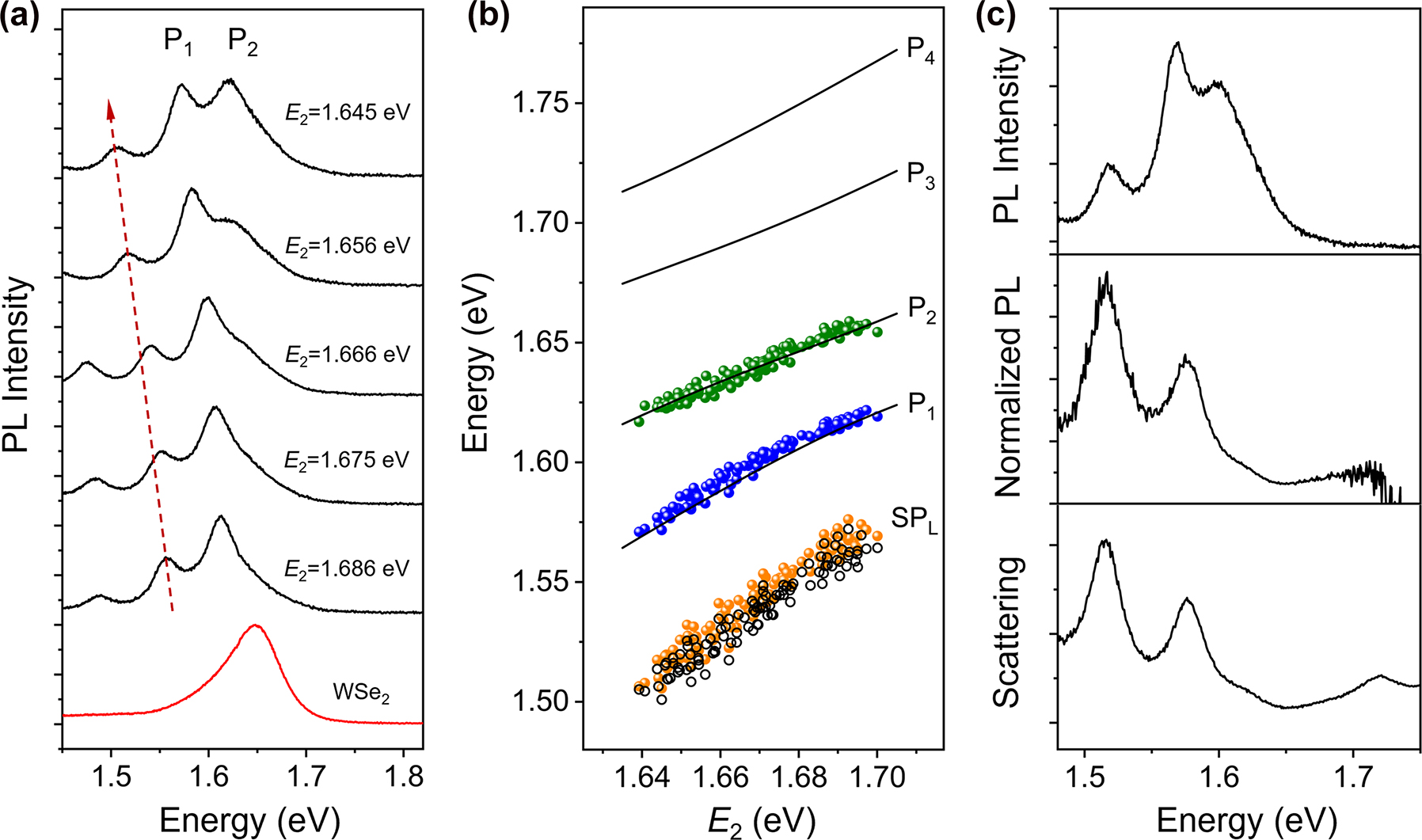 Figure 3:
Analyses of PL spectra for Ag NW-WSe2 coupled systems. (a) PL spectra of Ag NWs on monolayer WSe2 with different E
2. The red arrow marks the redshift of SPL mode. The two plexciton peaks are labeled as P1 and P2. The PL spectrum of bare monolayer WSe2 without Ag NW is plotted at the bottom. (b) Energies of fitting peaks in the experimental PL spectra as a function of E
2 (orange, blue, and green dots). The black lines are the calculated results for the scattering in Figure 2b. The black hollow dots are the energies of SPL mode extracted from the corresponding scattering spectra. (c) Top: PL spectrum for a Ag NW-WSe2 coupled system when SP2 mode is close to exciton energy (E
2 = 1.650 eV). Middle: normalized PL spectrum resulting from dividing the top spectrum by the PL spectrum of bare WSe2. Bottom: scattering spectrum for the same coupled system.