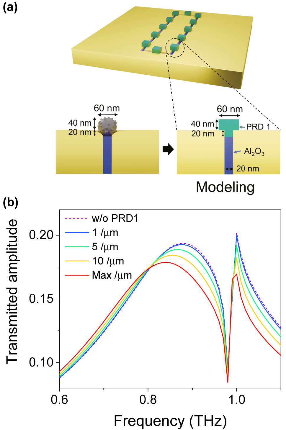 Figure 5: 
Full-wave numerical simulations. (a) Schematic illustrations of the simulation modeling. The spherical shape of the PRD1 virus has been changed to a T-shape in order to minimize the computing time of the simulation. (b) The transmission amplitude spectra of the 20 nm gap depending on their PRD1 virus densities. Here the density of the virus particle is defined by the number of viruses per unit length in the nanogap-loop.
