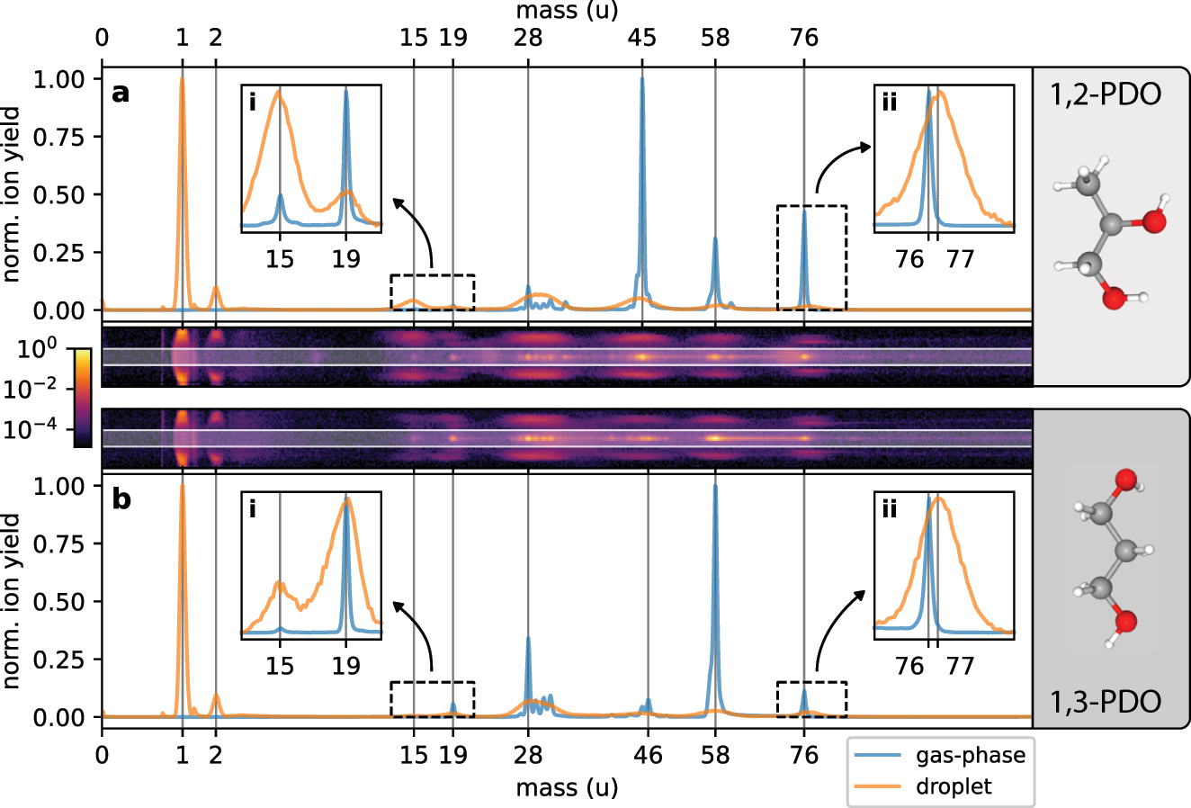 Figure 2: 
Droplet-specific time-of-flight spectra for 1,2-PDO and 1,3-PDO. (a) Time-of-flight spectra (in mass units) for ions generated from single gas-phase molecules (blue) and on the surface of droplets (orange) obtained from a single measurement with 1,2-PDO at a laser intensity of approx. 5 × 1013  W/cm2. The insets (i) and (ii) contain a zoomed-in and normalized view of the mass ranges indicated by the dashed boxes. The mass of the PDO molecule (or PDO+ ion) is m = 76 u. (b) Same as panel a using 1,3-PDO as the target. Gas-phase and droplet data were separated based on the electron signal (see Figure 1b). The droplet data was further cleaned from gas-phase ions by removing ions with a small deflection from the center of the ion detector along the polarization direction of the laser. Pseudo-color plots: position-resolved (along polarization direction y) time-of-flight histograms for ions with high electron signal. Only the counts outside the white-shaded regions (|y| > 11 mm) are contained in the droplet histograms of panel (a) and (b). The time-of-flight histogram for counts with |y| ≤ 11 mm is practically identical to the gas-phase case (see Supplementary Material).
