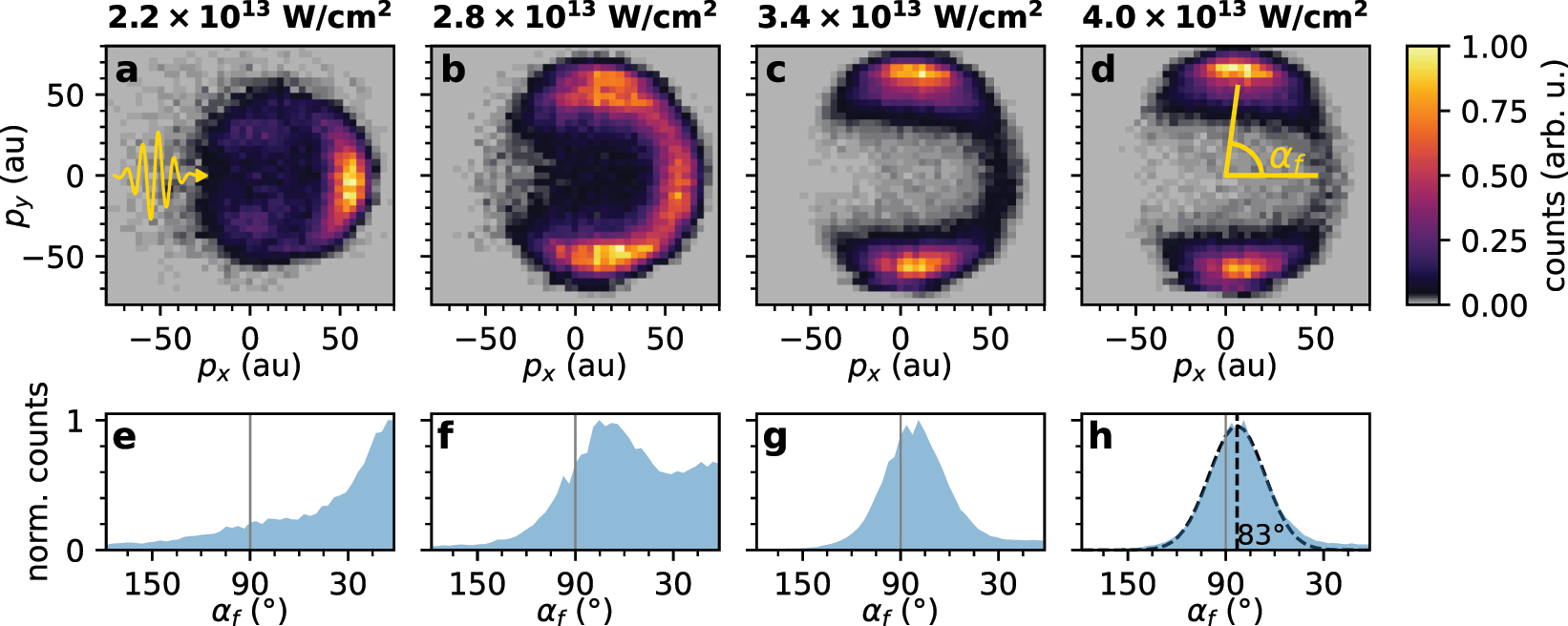 Vorschaubild aus dem Artikel