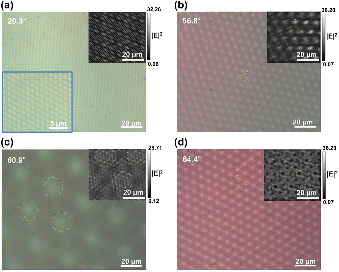 Figure 3:
Optical micrographs and the simulated electric field distribution of moiré patterns. The twist angles are (a) 20.3°, (b) 56.8°, (c) 60.9°, and (d) 64.4°. The inserts show the simulated electric near-field distribution of the twisted bilayer meta-devices. The yellow dashed circles highlight the lattices of the measured moiré patterns and simulated electric near-field distribution.