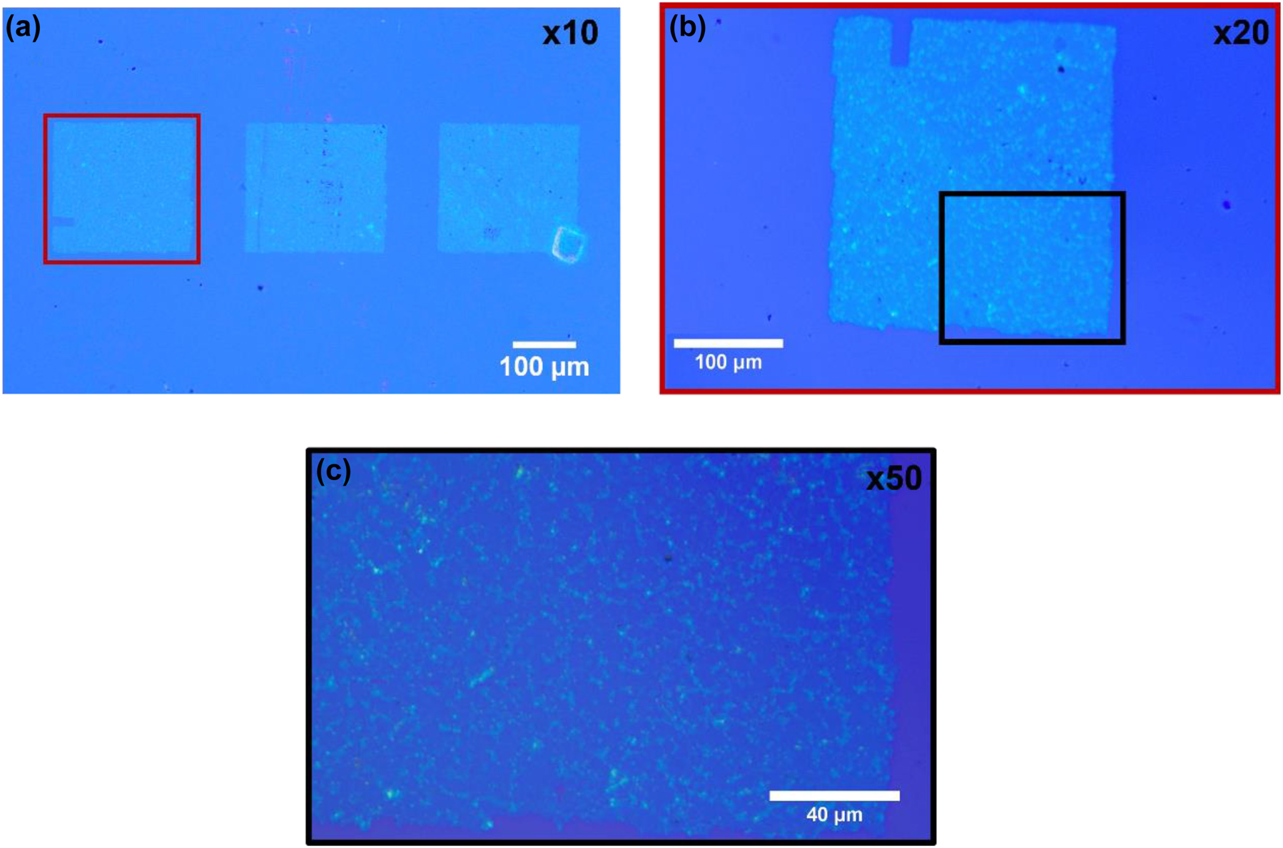 Figure 2: 
Optical microscope images of arrays of MoS2 pixels printed on a SiO2/Si receiver for different magnification levels: (a) ×10, three different arrays of pixel are depicted and each array comprises a grid of 6 × 6 pixels, b) ×20 zoomed in view of the leftmost array shown in (a), and (c) ×50 magnification of the black rectangle of (b).