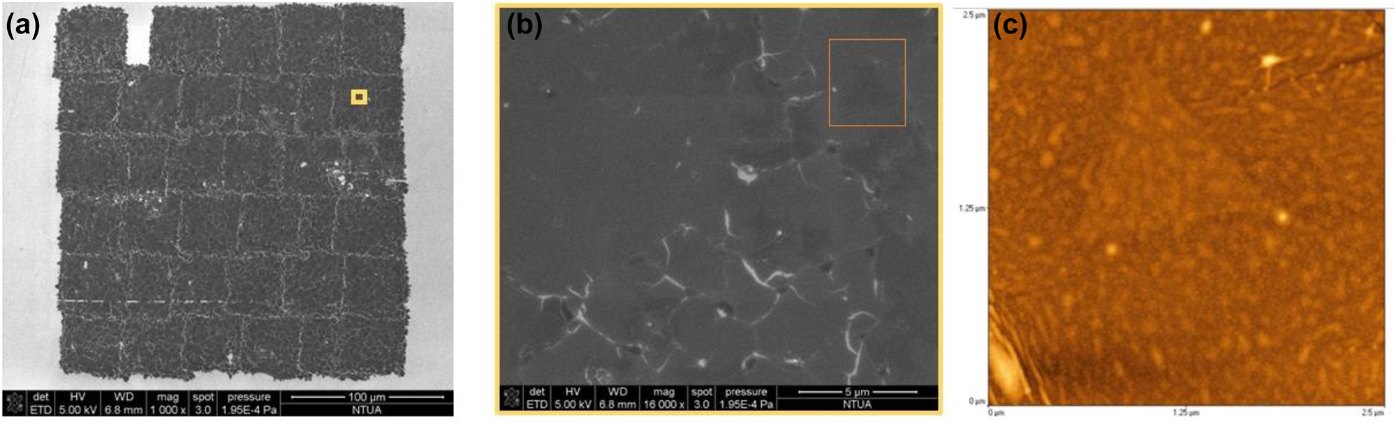 Figure 3: 
SEM images of LIFT-printed MoS2 arrays with (a) a ×1000 magnification, and (b) ×18000 zoomed-in view of the yellow region of (a). SEM images present a well-defined transfer of pixels. (c) AFM image of a region 2.5 μm × 2.5 μm, which corresponds to orange rectangle shown in (b) and which depicts an intact printed MoS2 single layer with a triangle.