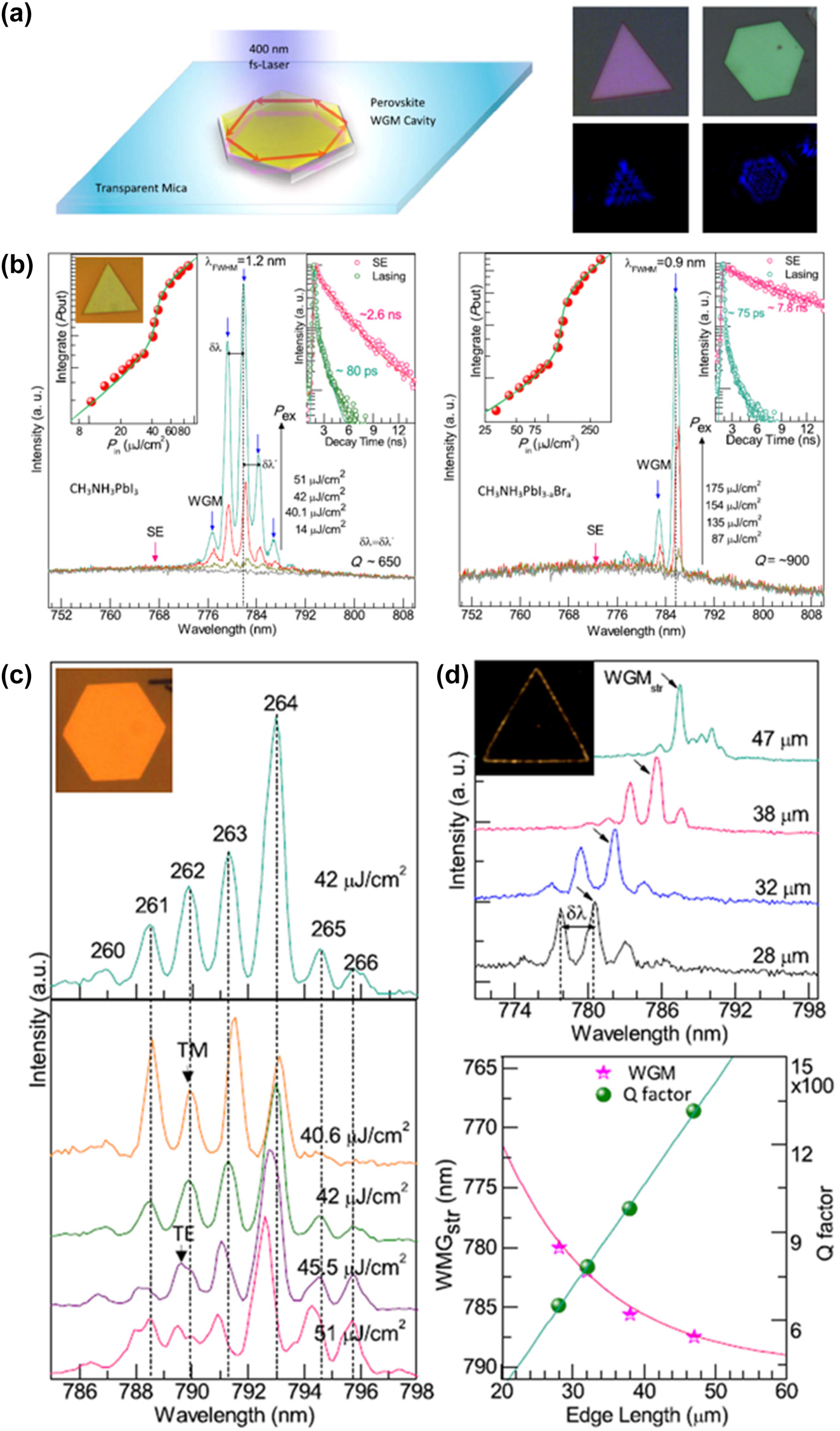Figure 38: 
Lasing characteristics of perovskites whispering-gallery-mode nanocavities. (a) Schematic of optical setup and Far-field optical image of the CH3NH3PbI3 NPls under the illumination of white light (upper panel) and incidence laser (bottom panel). (b) The evolution from spontaneous emission (SE, ∼768 nm, peak center indicated by red arrow) to lasing (whispering-gallery modes indicated by blue arrows) and parallel steady-states SE, lasing and time-resolved photoluminescence measurement on in a typical CH3NH3PbI3 triangular NPl. (c) Lasing spectra of hexagonal CH3NH3PbI3 NPls and lasing mode evaluation as pumping fluence (bottom panel). (d) The wavelength of lasing modes (pink star dots) and Q-factor (dark yellow dots) as a function of the triangular cavity edge length. Reprinted with permission from Ref. [193], copyright 2014, American Chemical Society.
