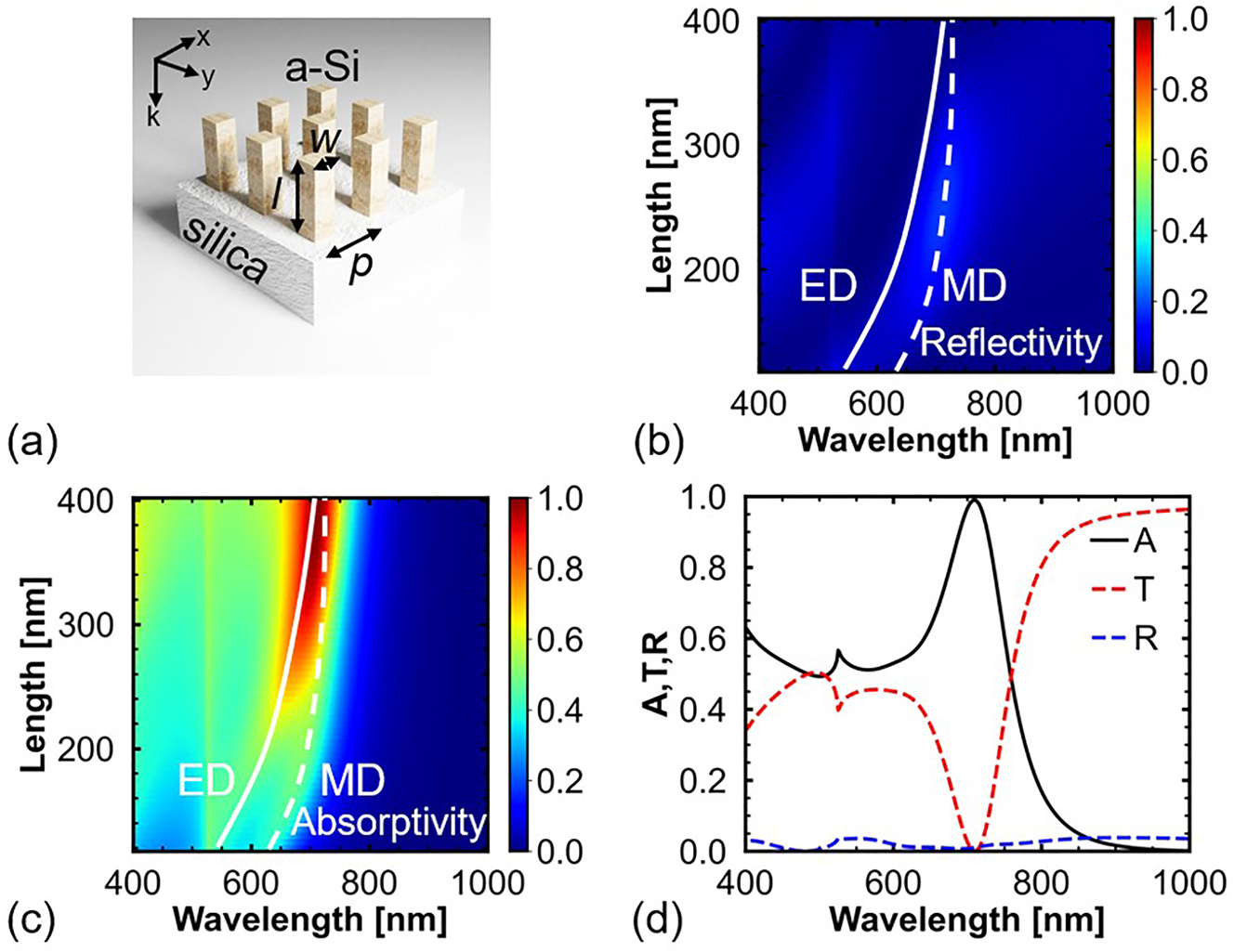Figure 2:
Study of a-Si nanopillar arrays. (a) Schematic of a nanopillar Mie resonator array. (b) Reflection and (c) absorption spectral maps of the Mie resonators with w = 120 nm, l = 120–400 nm, and p = 360 nm. (d) Absorption, transmission, and reflection spectra of the Mie resonators with l = 380 nm.