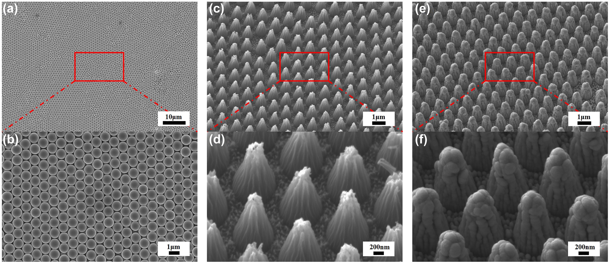 Figure 6: 
SEM diagram of the fabrication process. (a–b) SEM images of monolayer hexagonal PS microsphere arrays at 0° with different scale. (c–d) SEM images of tapered PI substrate at 30° with different scale. (e–f) SEM images of the proposed nano-cone absorber at 30° with different scale.
