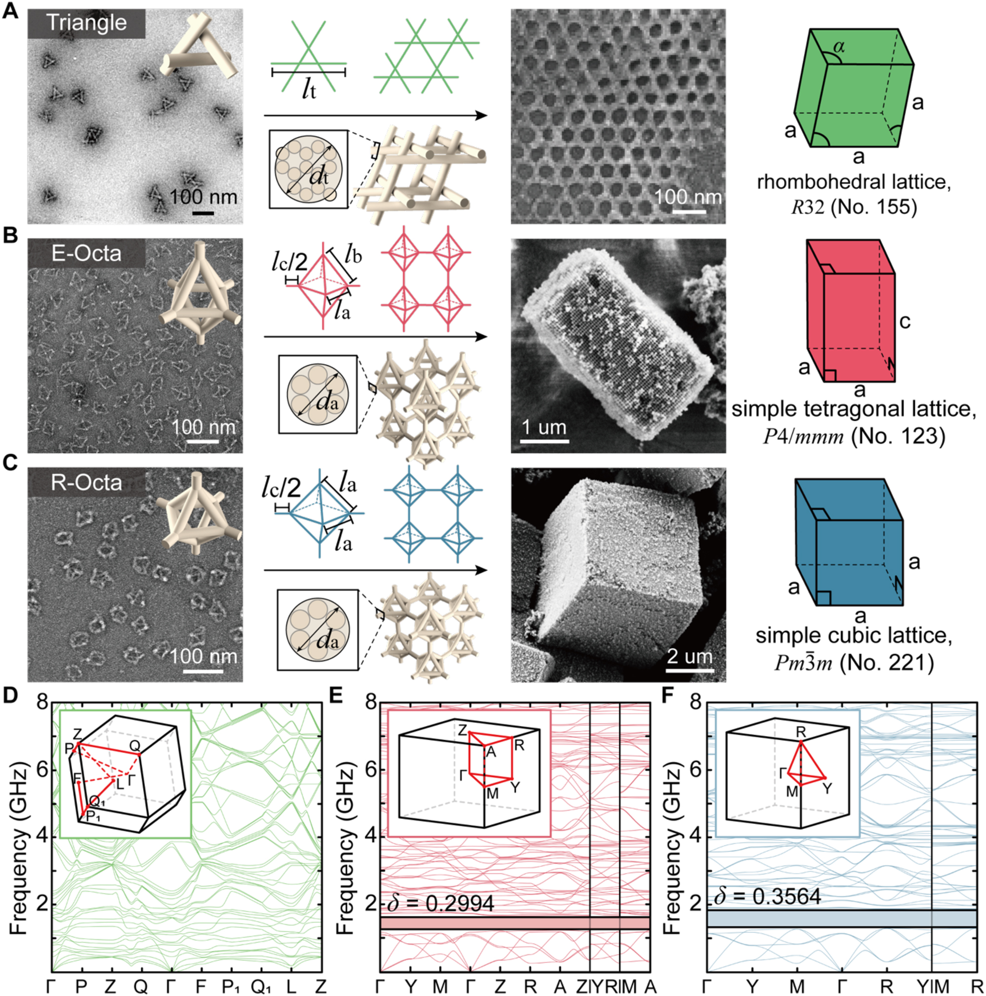 Figure 1: 
Representative examples of DNA origami 3D crystals that have been achieved and their phononic band structures. (A–C) Scheme and transmission electron microscopy (TEM) and scanning electron microscopy (SEM) images of (A) triangle, (B) E-Octa, and (C) R-Octa structures. Each has a particular Bravais lattice, such as a rhombohedral lattice (RL), a simple tetragonal lattice (STL), and a simple cubic lattice (SCL), respectively. Here, we use 


a
=


2




l


a


+


l


c




$a=\sqrt{2}{l}_{a}+{l}_{c}$



 and 


c
=
2




l


b


2


−


l


a


2


/
2


+


l


c




$c=2\sqrt{{l}_{b}^{2}-{l}_{a}^{2}/2}+{l}_{c}$



 in B and C, respectively. (D–F) Phononic band structures for A–C, respectively. Their BZ are also attached as insets. Note that the complete PnBG is advanced with increasing geometrical symmetry from the RL to the SCL. δ represents the relative bandwidth. All TEM/SEM images are adapted with permission from ref. [33] for panel A and ref. [34] for panel B–C.
