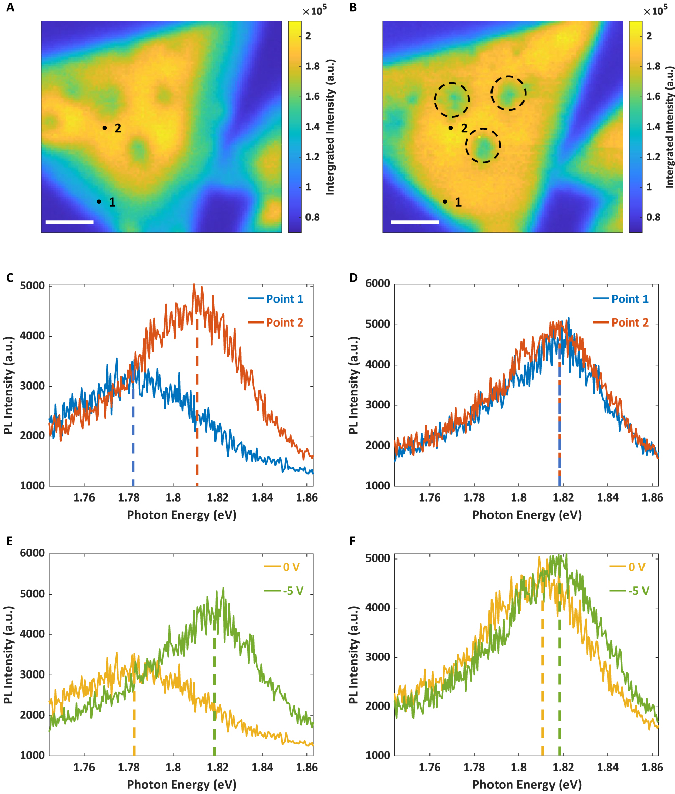 Figure 2: 
TEPL images and spectra of a CVD-grown monolayer MoS2 flake under different bias voltages. (A, B) TEPL images of the CVD-grown monolayer MoS2 flake (Figure 1C) under bias voltages of 0 V and −5 V, respectively. The step size of scan is 100 nm. The colors of pixels represent the integrated intensity of TEPL over 0.5 s. The two black dots represent position 1 and 2. Black circles represent contaminated areas consistent to Figure 1C. The scalebar is 2 μm. (C, D) TEPL spectra collected at position 1 and 2 labelled in (A, B) respectively. Each spectrum is averaged over adjacent four spatial pixels (2 × 2). The dashed lines indicate the peak centers of each spectrum. Peak centers labelled by the blue and red are 1.782 eV and 1.814 eV in (C) (0 V); 1.818 eV and 1.818 eV in (D) (−5 V). (E, F) are TEPL spectra at position 1 (E) and position 2 (F) under two different voltages.
