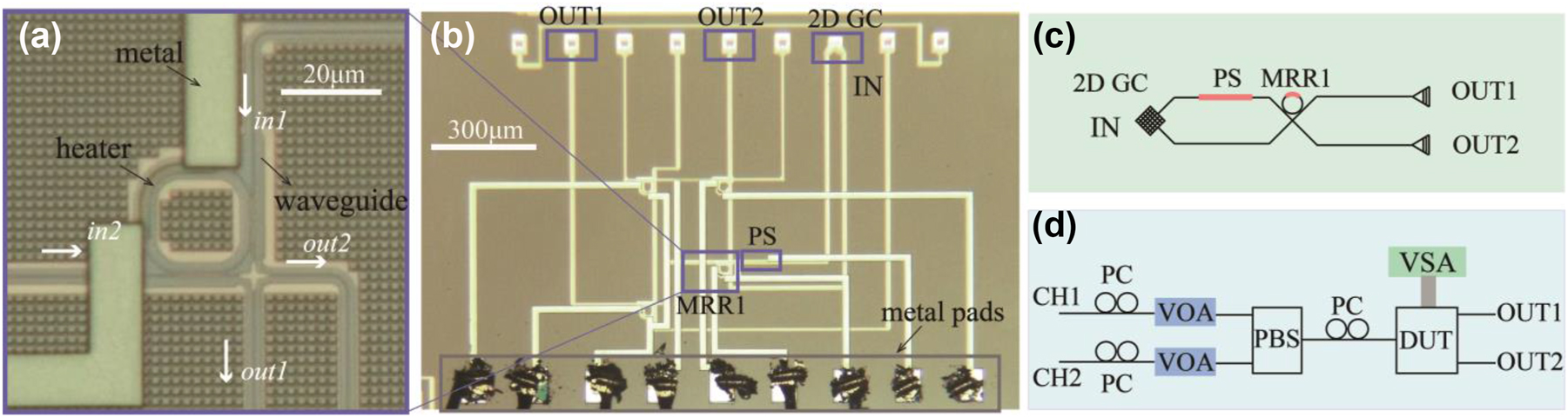 Figure 1: 
Micrograph image and schematics. (a) Micrograph image of the fabricated MRR. (b) Micrograph image of the proposed network. PS, GC represents phase shifter and grating coupler. (c) Schematic of the proposed network. (d) Experimental setup of the proposed system. PC, VOA, PBS, DUT, and VSA represent polarization controller, variable optical attenuator, polarization beam splitter, the device under test, and voltage source array.
