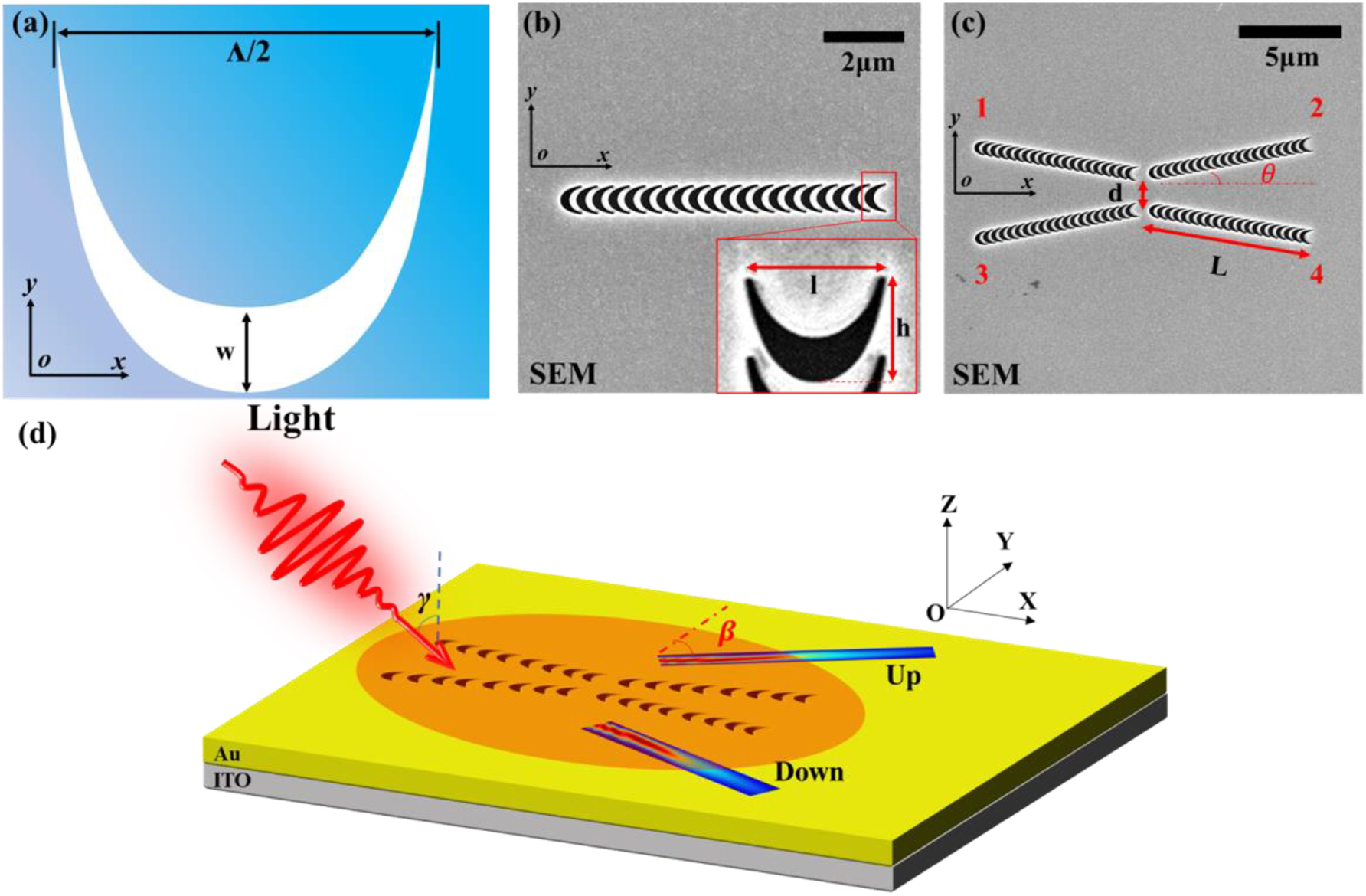 Figure 1: 
The schematic of the composite catenary structure. (a) The schematic illustration of catenary apertures etched on the gold film. (b) The schematic of the scanning electron microscopy (SEM) image of the single catenary aperture array. The inset is the magnification image of the local structures. (c) The schematic of the SEM image of the composite catenary structure includes four catenary aperture arrays with a tilt of 10°. (d) Schematic diagram of the Bessel SPP beams excited by the composite catenary structure under oblique incidence. The main lobe of the excited Bessel SPP beams will be launched from up and down the structure along different propagation paths.
