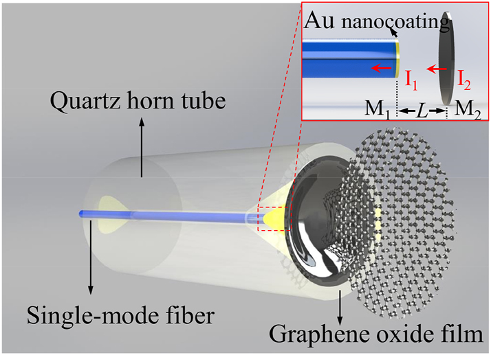 Figure 1: 
Schematic diagram of the HF-OFM.
