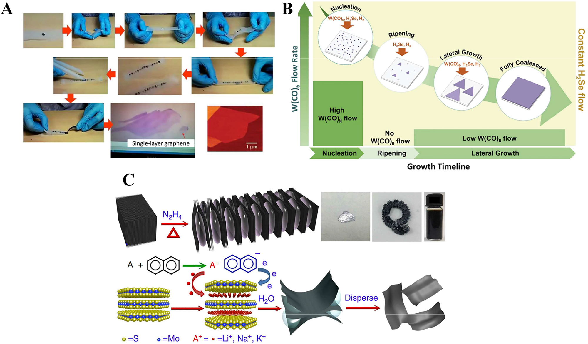Figure 4: 
Typical fabrication methods of 2D materials. (A) The illustrative procedure of Scotch-tape based micromechanical cleavage of HOPG. Reproduced with permission from Ref. [99]. Copyright 2015, Royal Society of Chemistry. (B) Schematic diagram showing the multistep process of single-layered sheets synthesis of WSe2 using chemical vapor deposition. Reproduced with permission from Ref. [112]. Copyright 2018, American Chemical Society. (C) Schematic exhibiting the multistep alkali-metal based intercalation liquid phase exfoliation method to obtain single-layer sheets in water. Reproduced with permission from Ref. [113]. Copyright 2014, Springer Nature.
