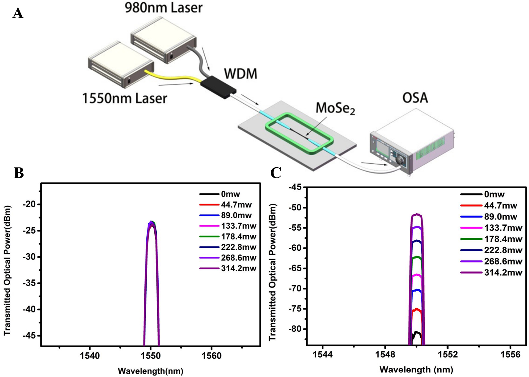 Figure 9: 
All-optical modulator based on microfiber coated with MoSe2. (A) Schematic of 980 nm in-fiber pumped experimental setup for the MF coated with MoSe2. (B) The optical transmitted power of the MF without MoSe2 for different pump power. (C) The optical transmitted power of the MF with MoSe2 for different pump power. Reproduced with permission from Ref. [128]. Copyright 2019, The Optical Society.
